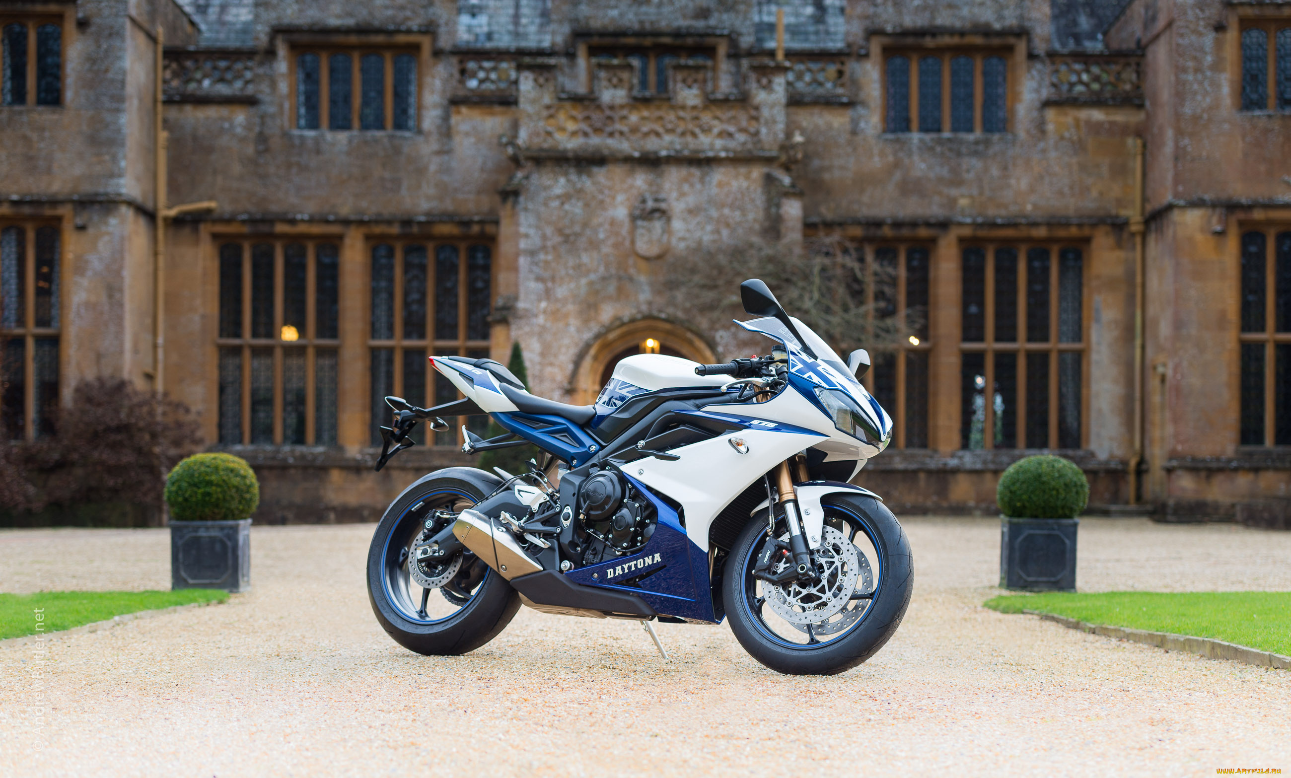 мотоциклы, daytona, triumph