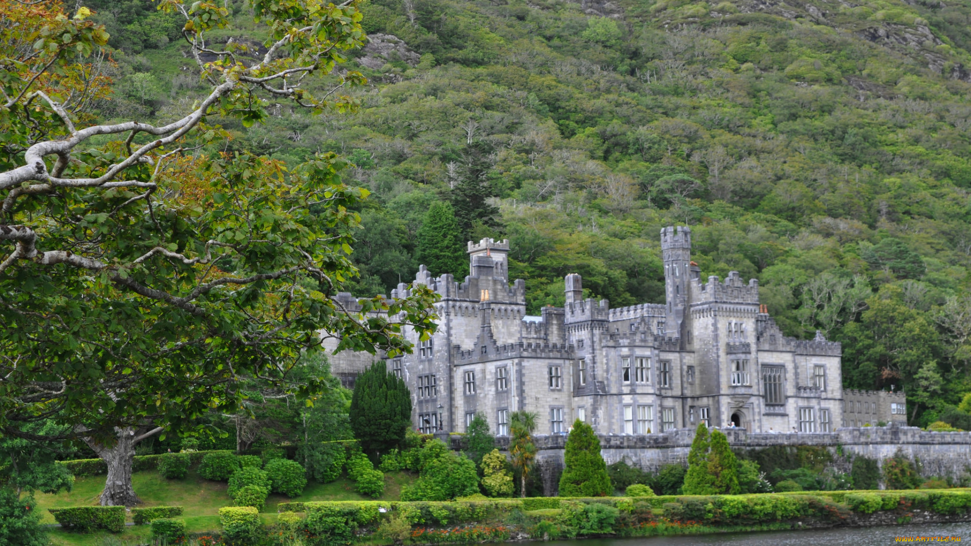 города, -, дворцы, , замки, , крепости, река, лес