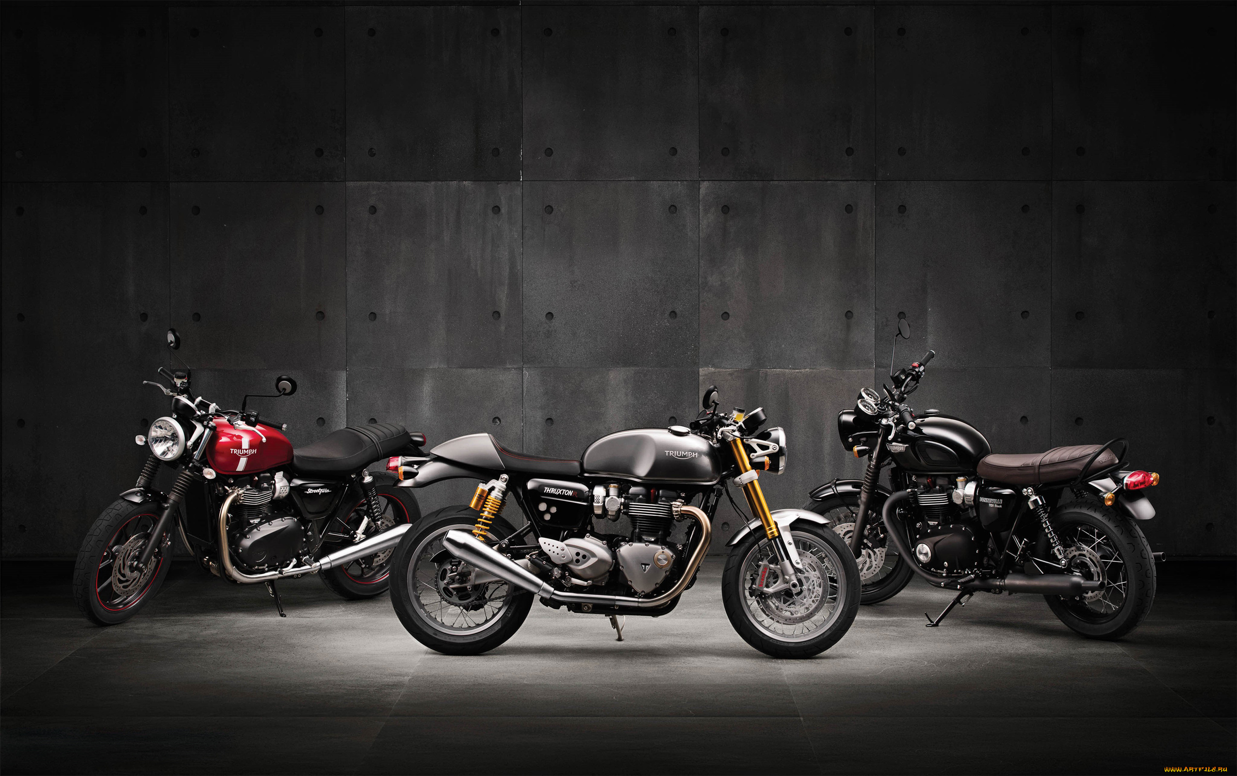 мотоциклы, triumph