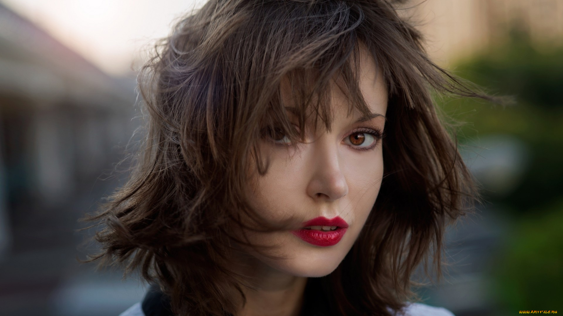 девушки, -unsort, , лица, , портреты, лицо, шатенка, ветер