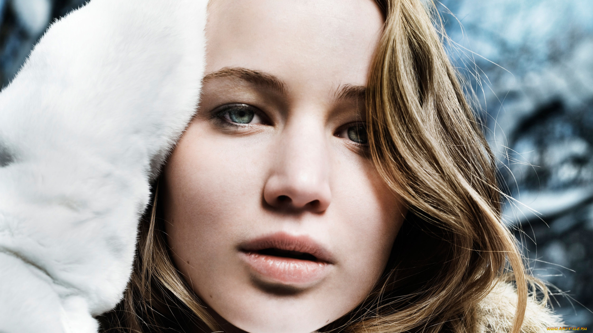девушки, jennifer, lawrence, дженнифер, лоуренс, мех, лицо, блондинка, актриса
