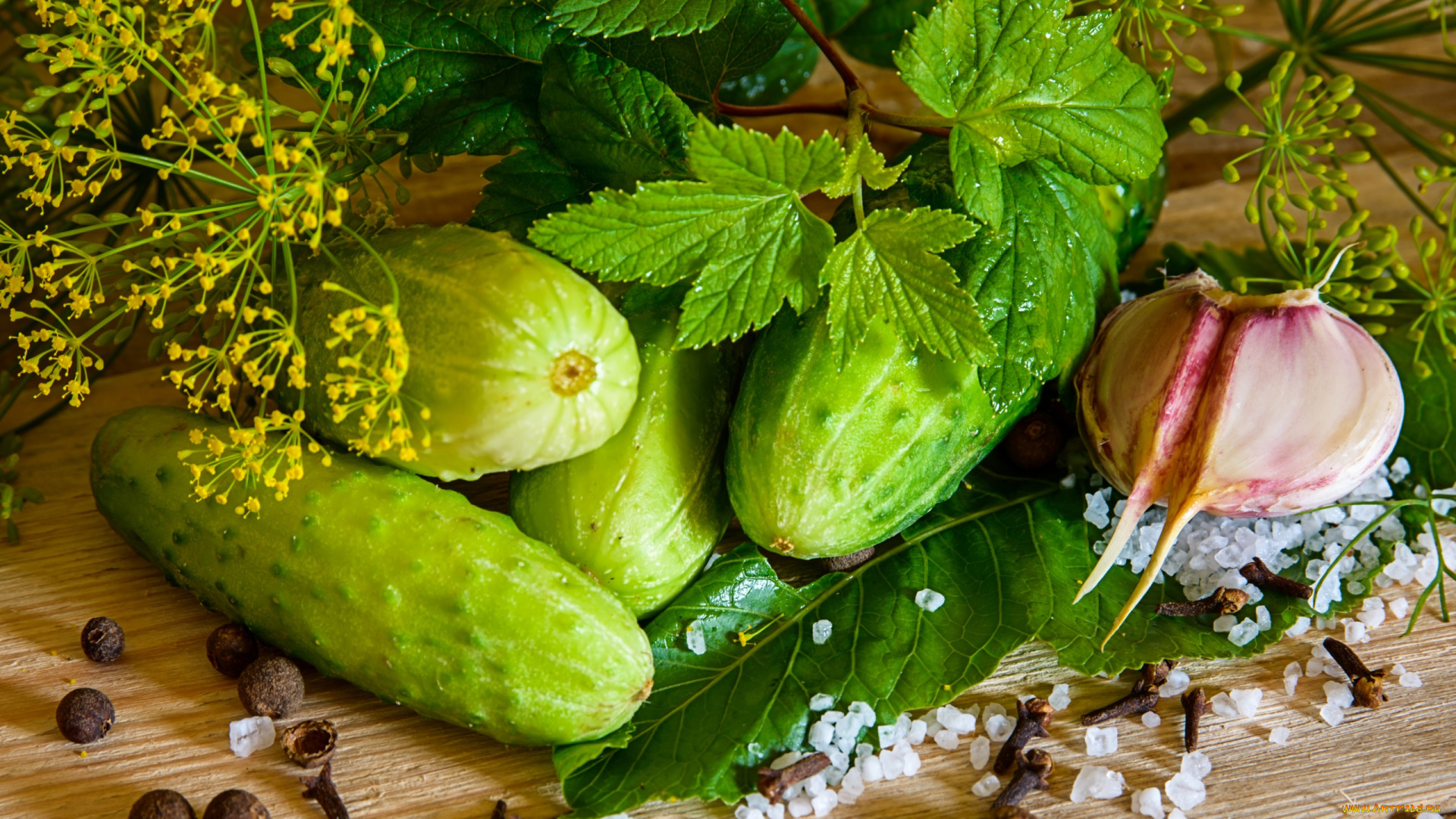 еда, огурцы, соль, укроп, лист, смородина, чеснок