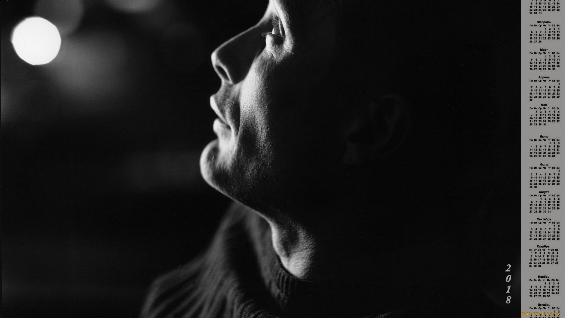 mads, mikkelsen, календари, знаменитости, 2018, мужчина, актер, лицо, профиль