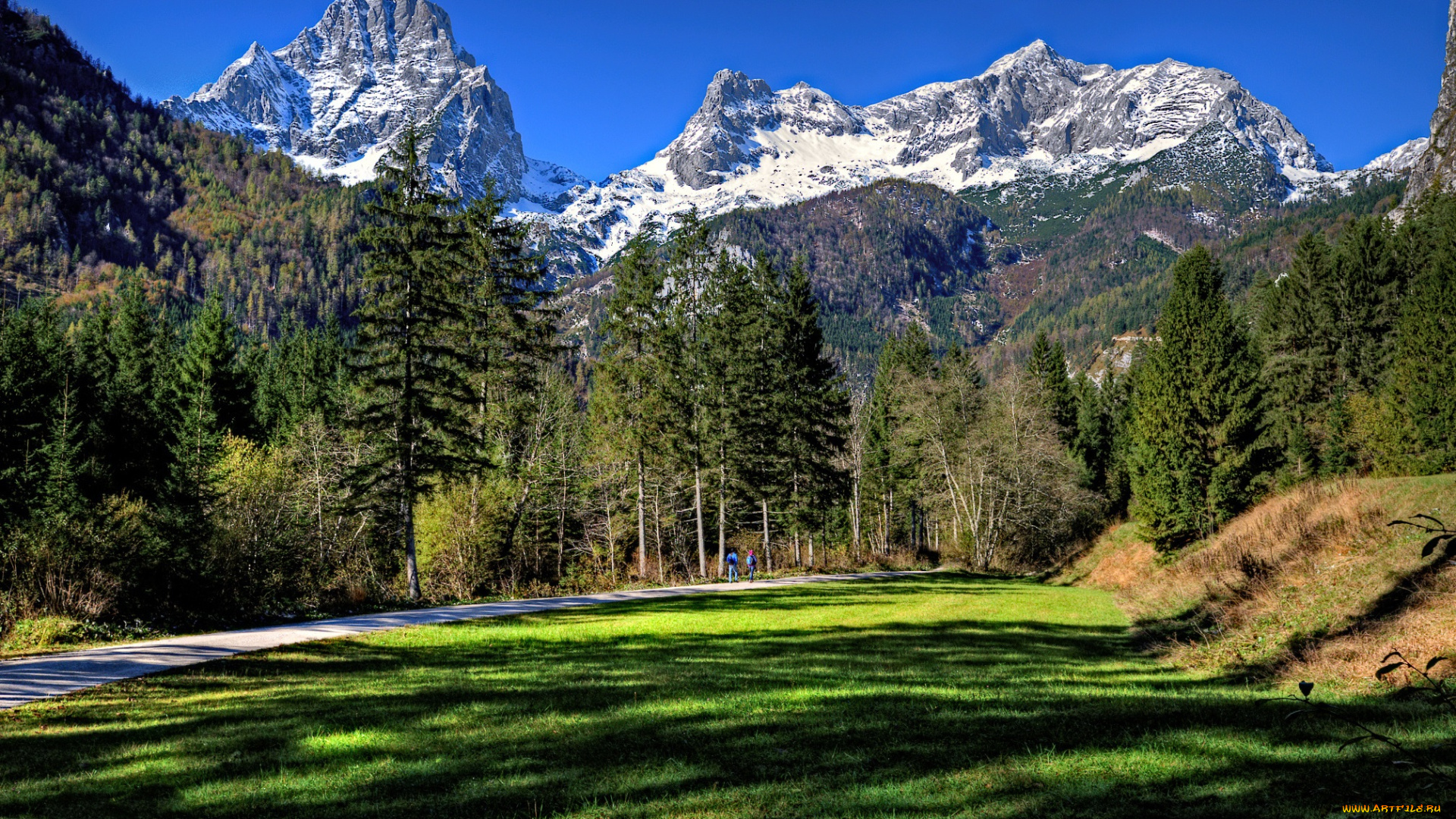 природа, горы, простор