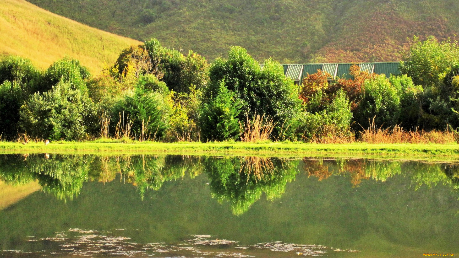 природа, реки, озера, отражение