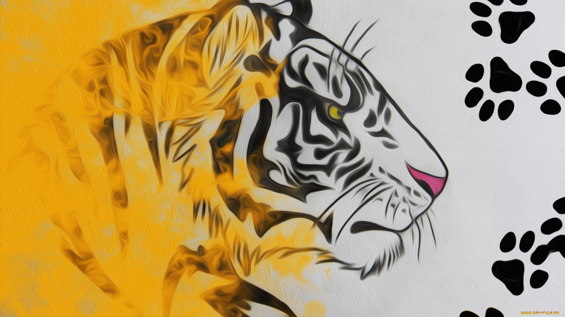 рисованное, животные, , тигры, тигр, рисунок, карандашом, следы