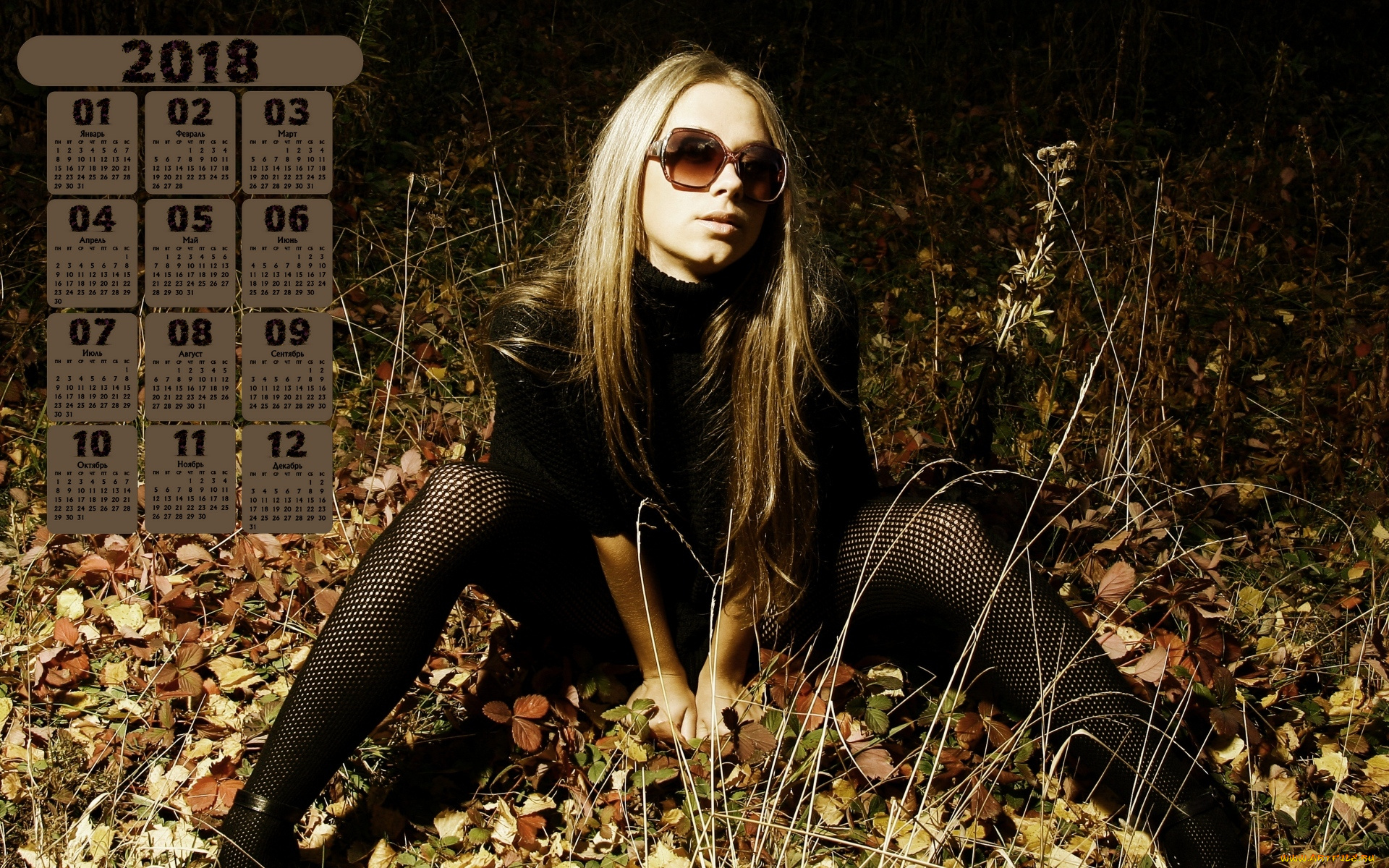 календари, девушки, листва, 2018, очки, ночь