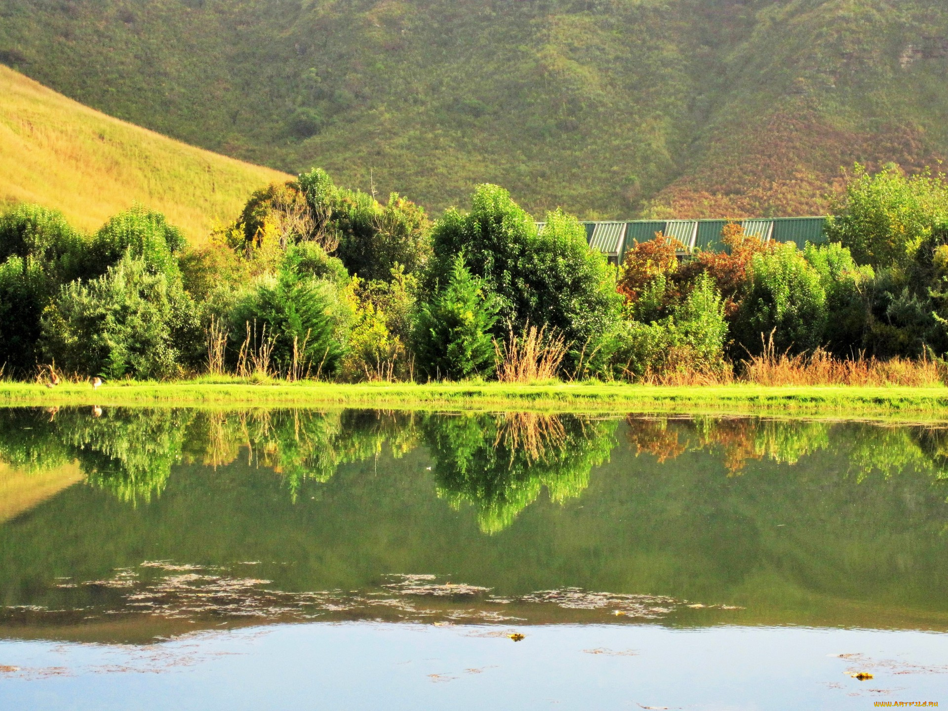 природа, реки, озера, отражение