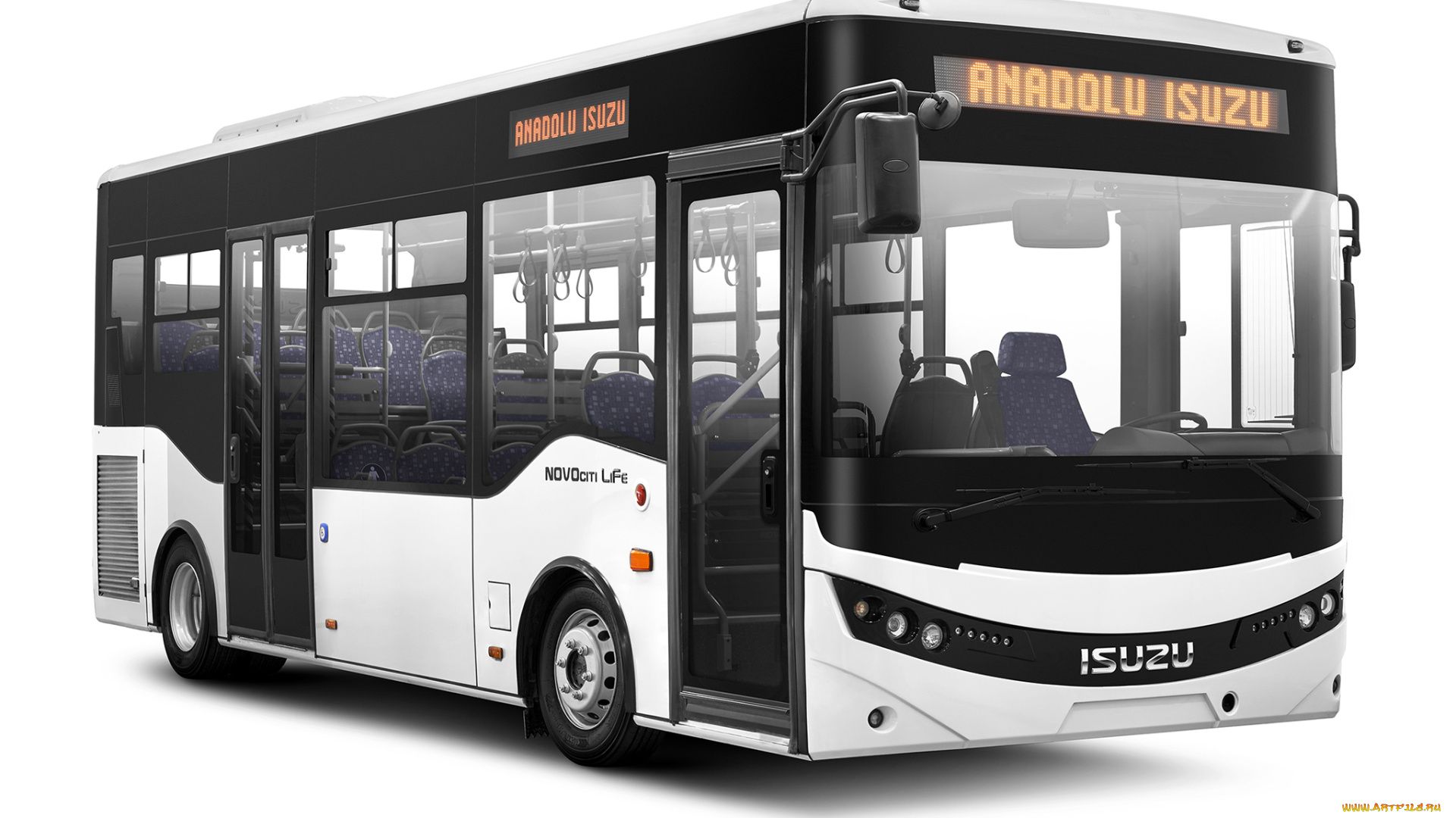 автомобили, автобусы, isuzu