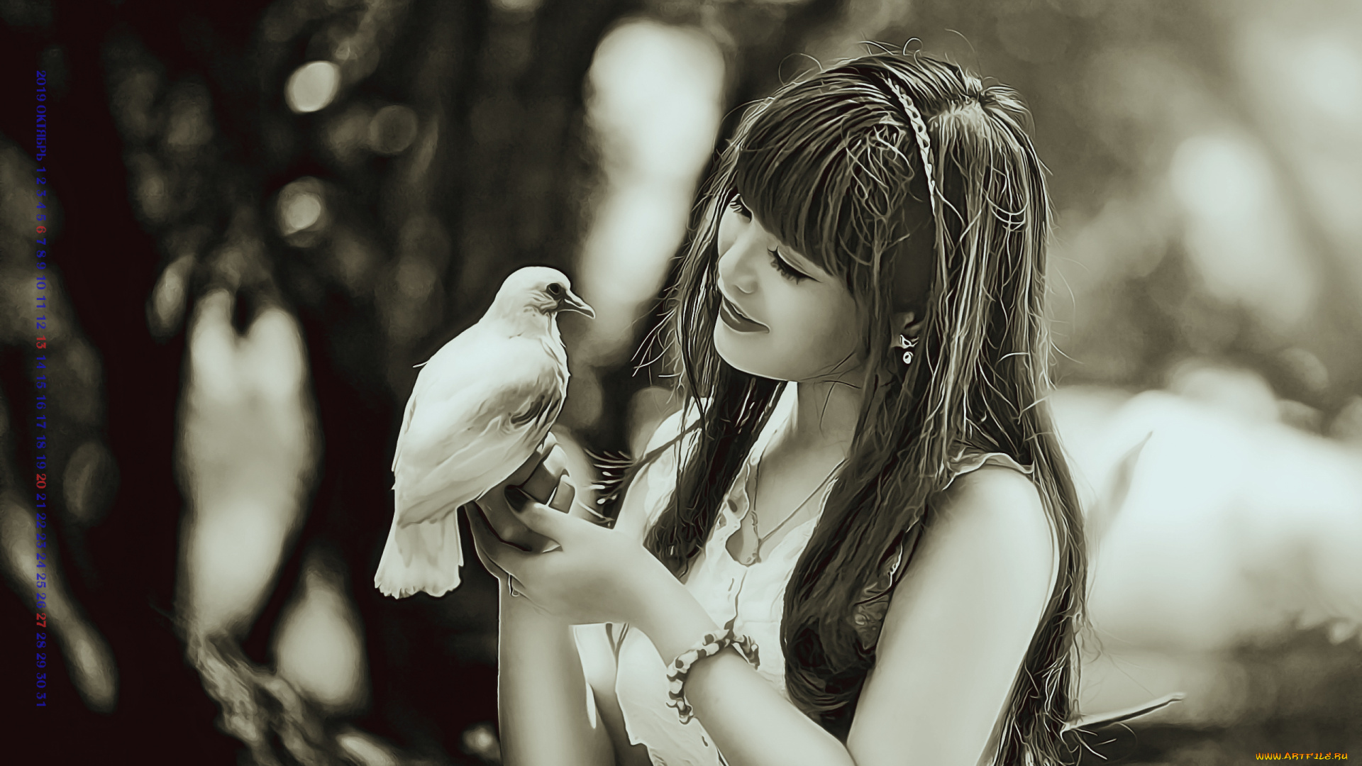 календари, компьютерный, дизайн, 2019, calendar, женщина, голубь, азиатка, девушка, птица