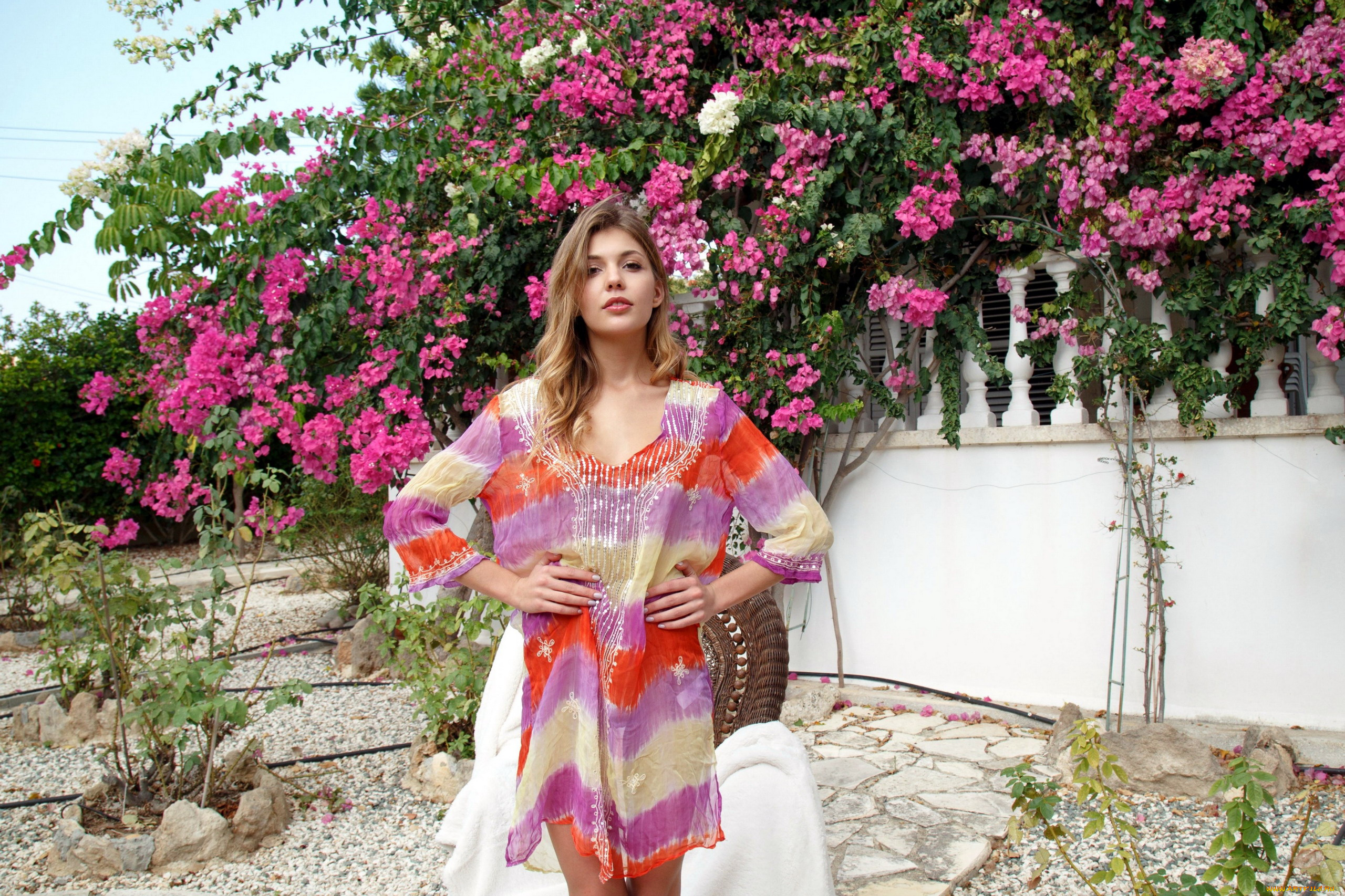 monica, dee, девушки, monika, dee, monica, dee