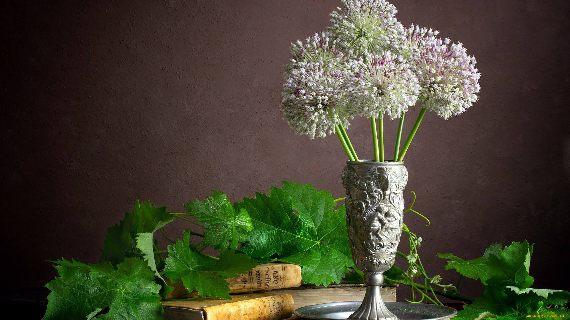 чеснок, цветы, букеты, , композиции