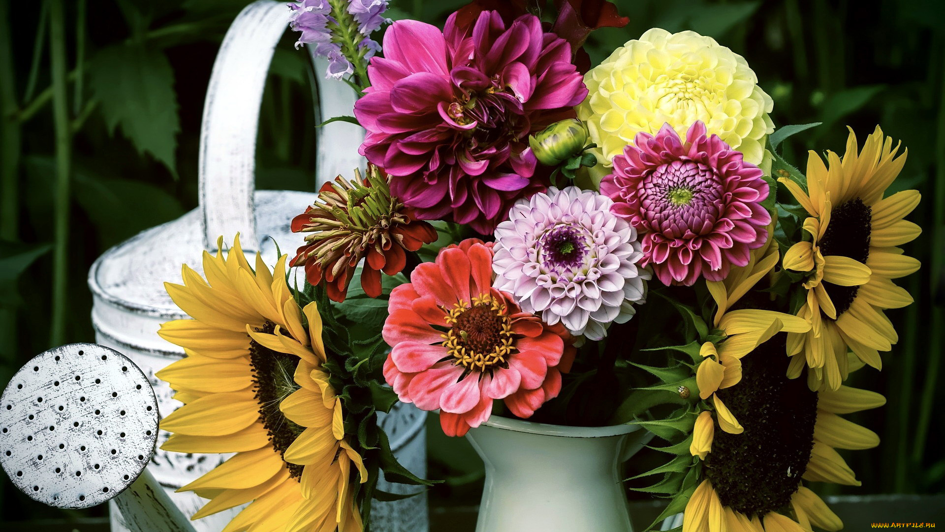 цветы, букеты, , композиции, георгины, цинния, подсолнухи