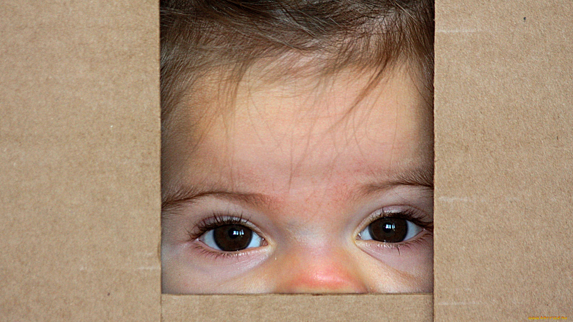 разное, глаза, карие