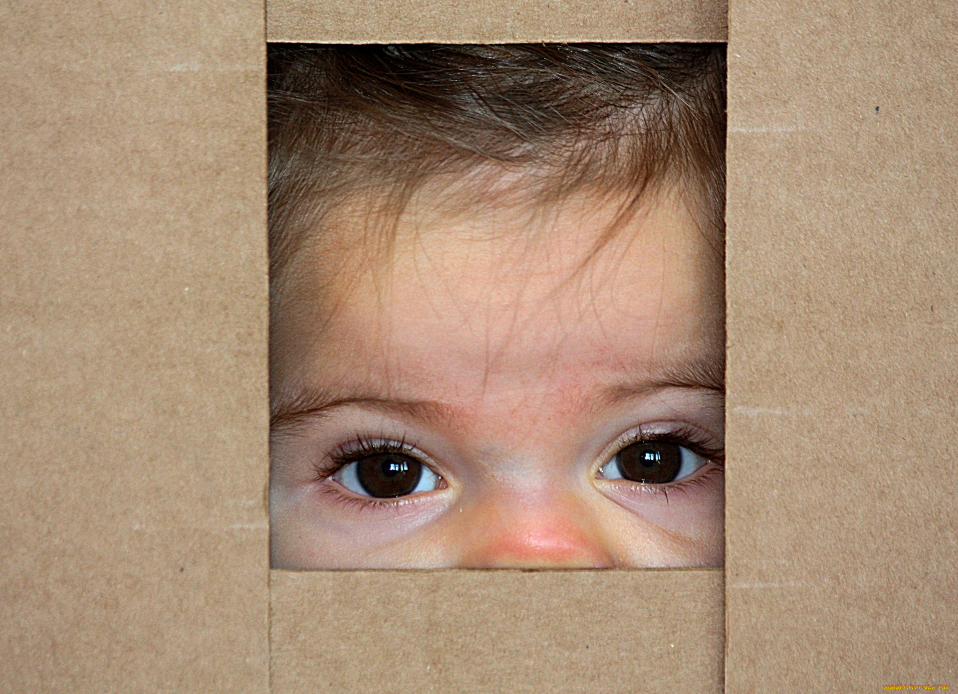 разное, глаза, карие