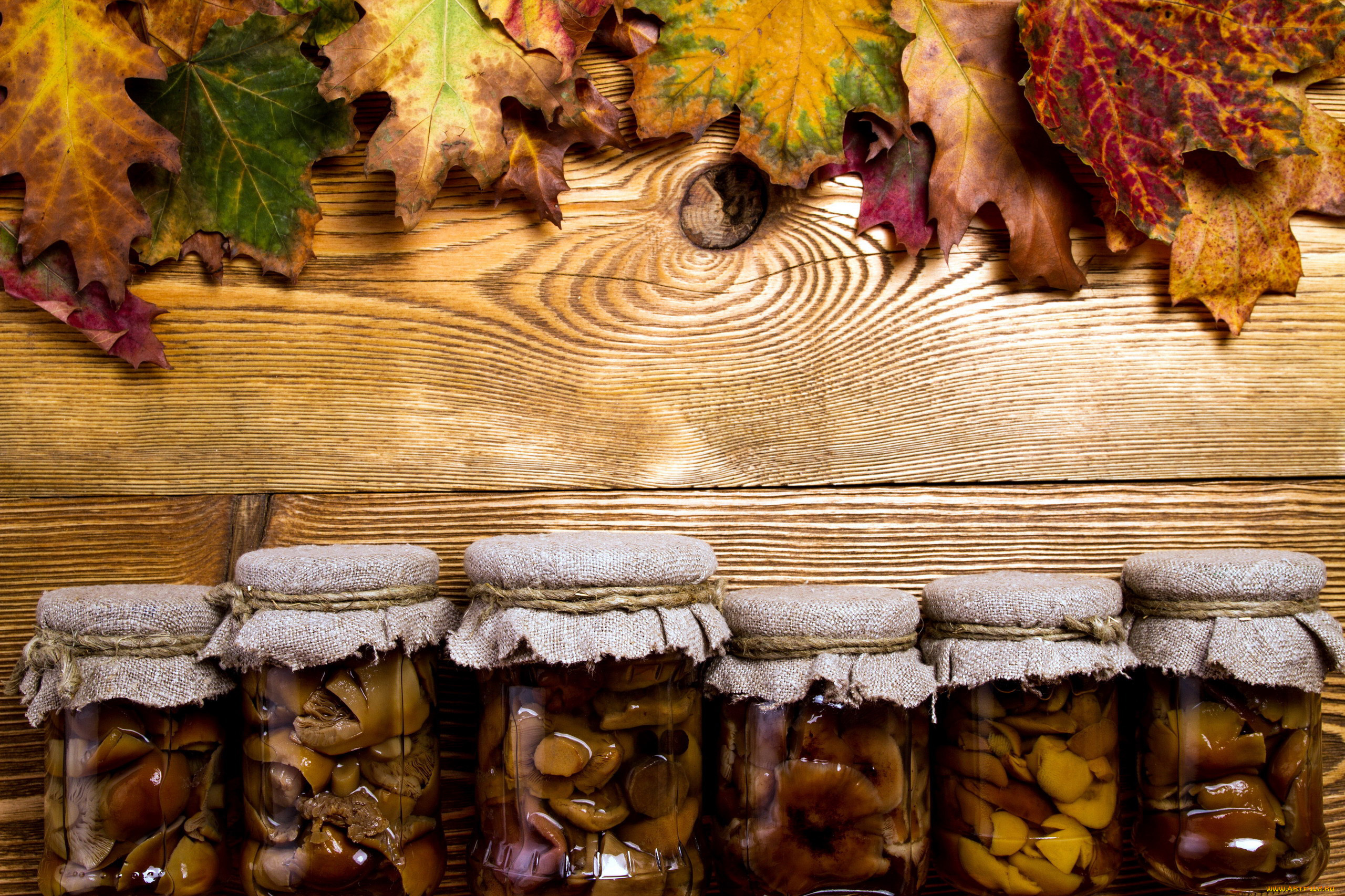 еда, консервация, маринованные, грибы, банки