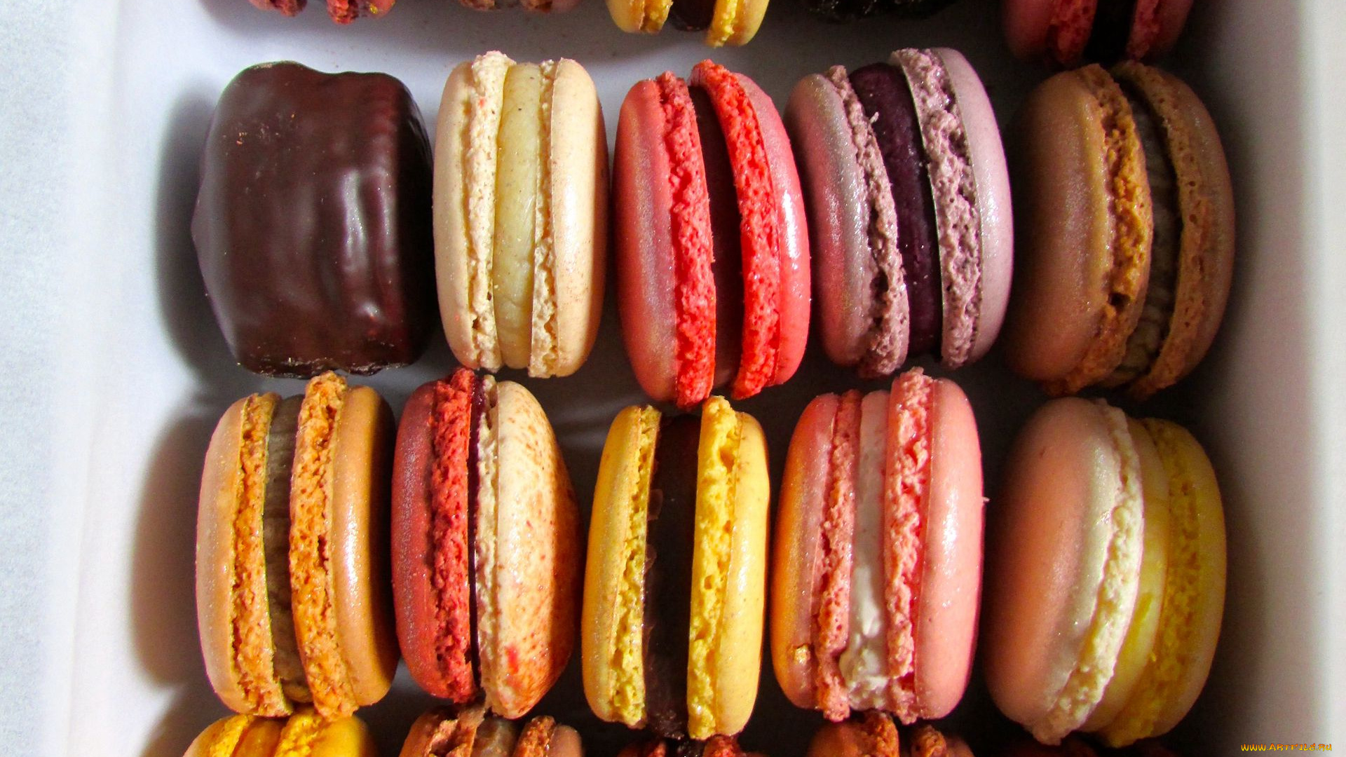 еда, макаруны, печенье, лакомство, ассорти