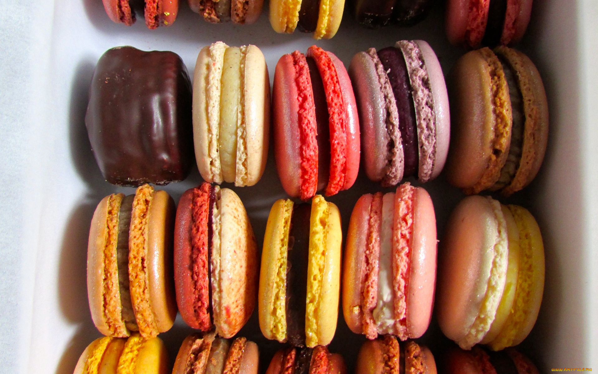 еда, макаруны, печенье, лакомство, ассорти