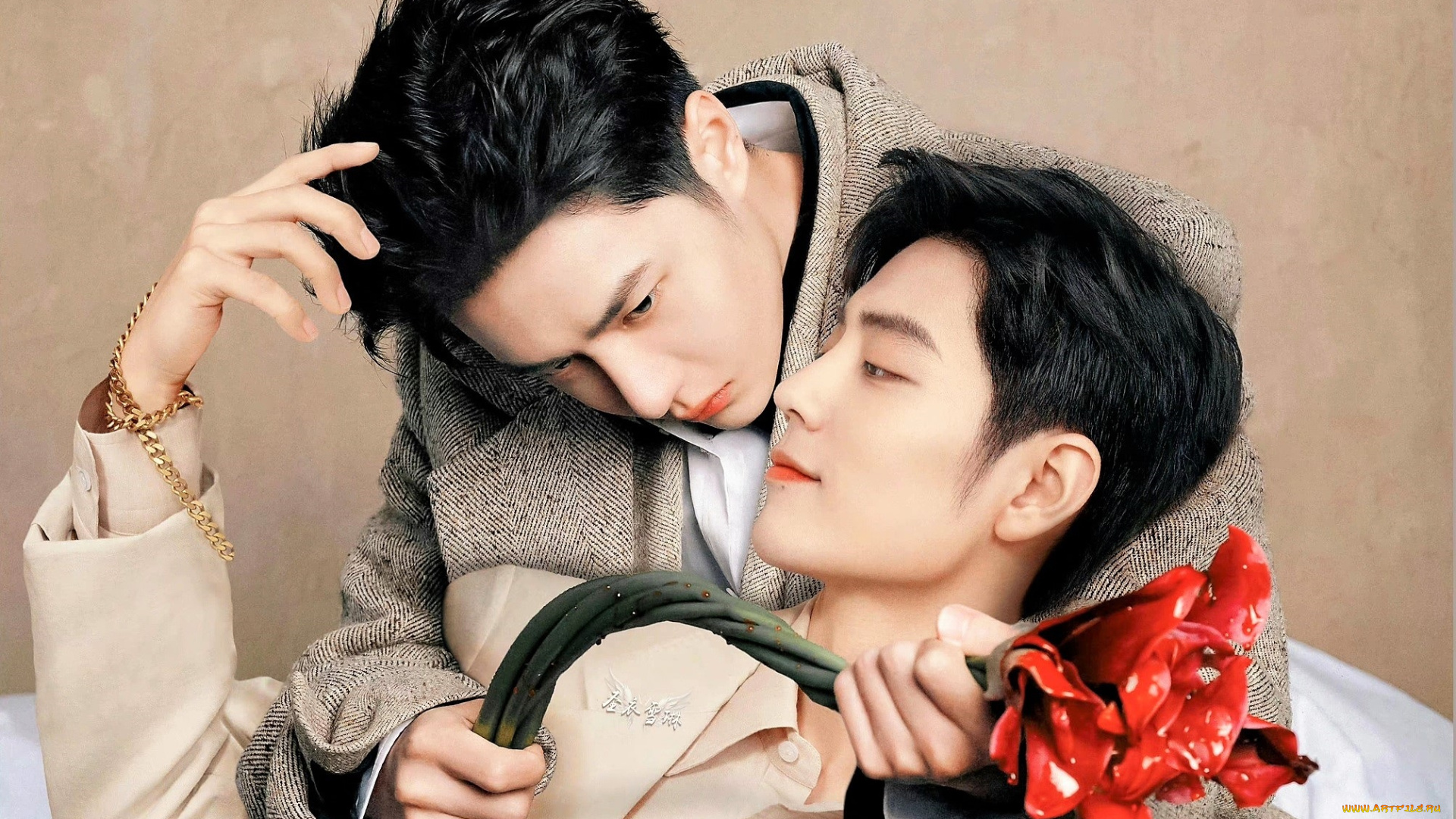 разное, компьютерный, дизайн, ван, ибо, сяо, чжань, цветок