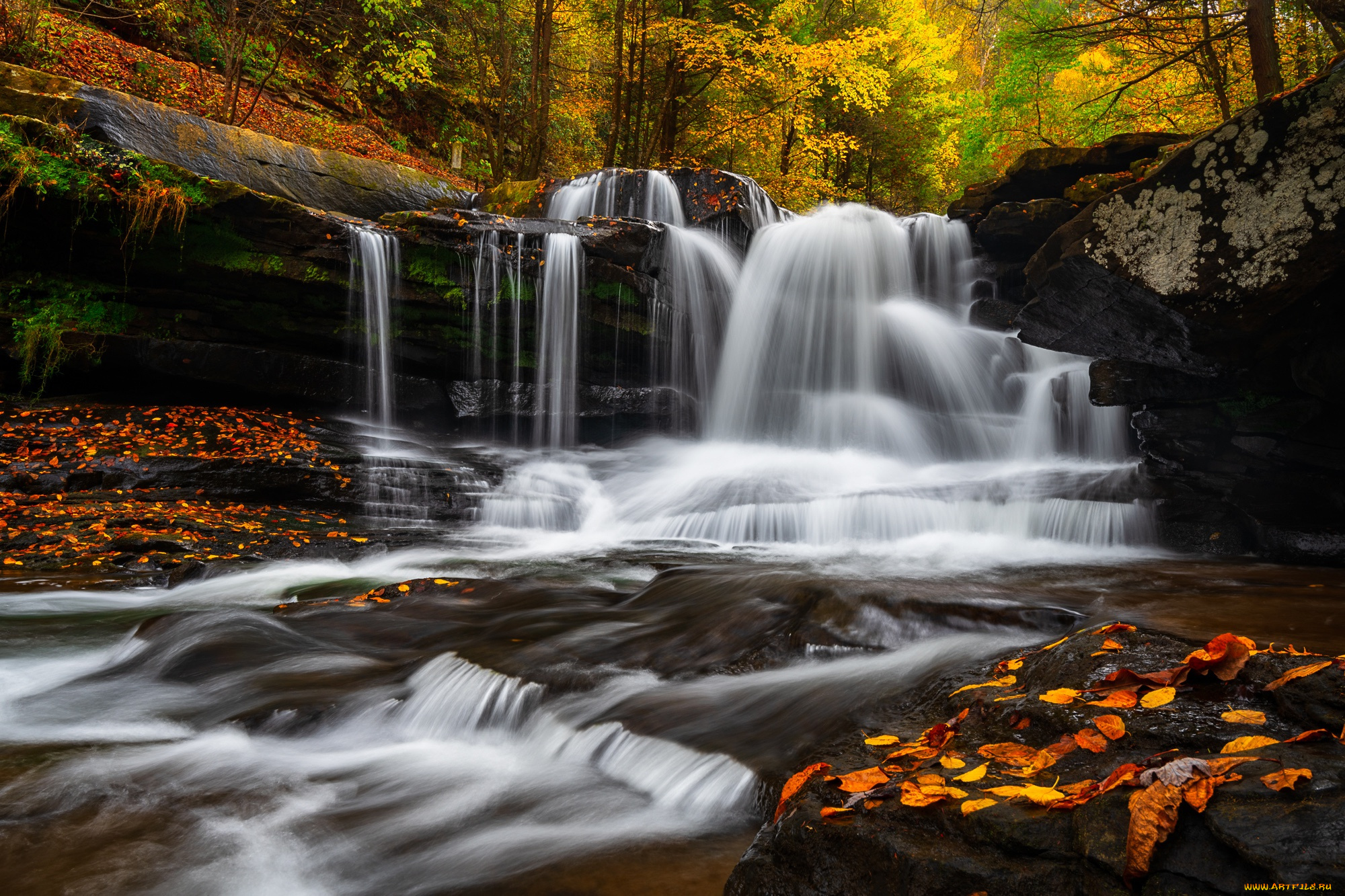 природа, водопады, осень, лес, водопад