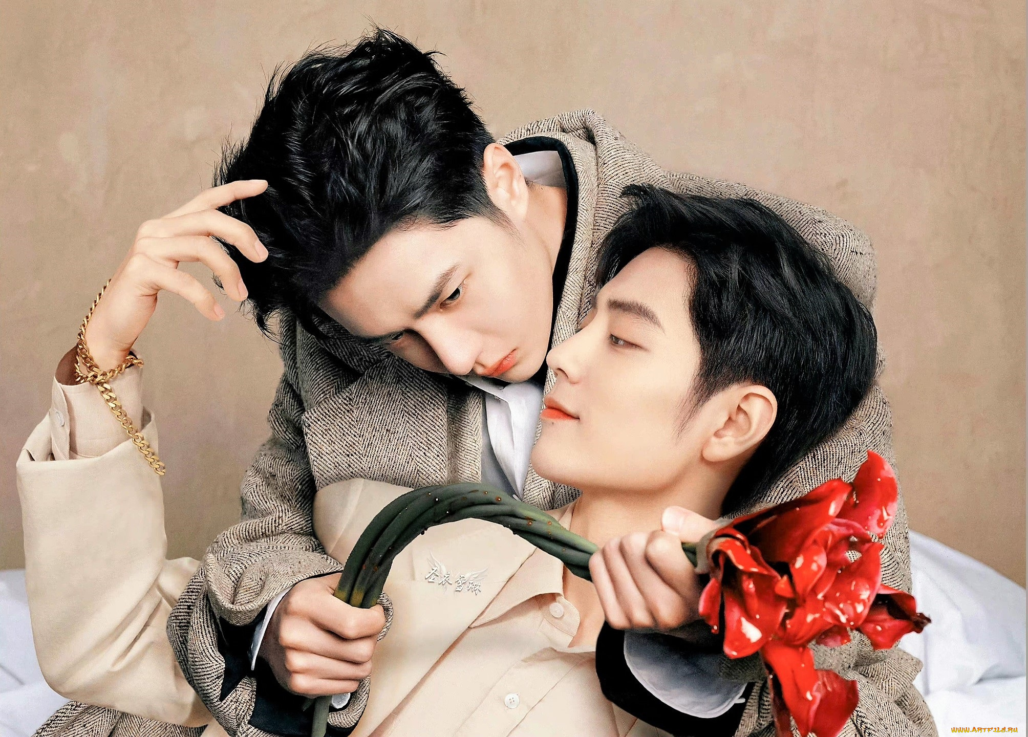 разное, компьютерный, дизайн, ван, ибо, сяо, чжань, цветок