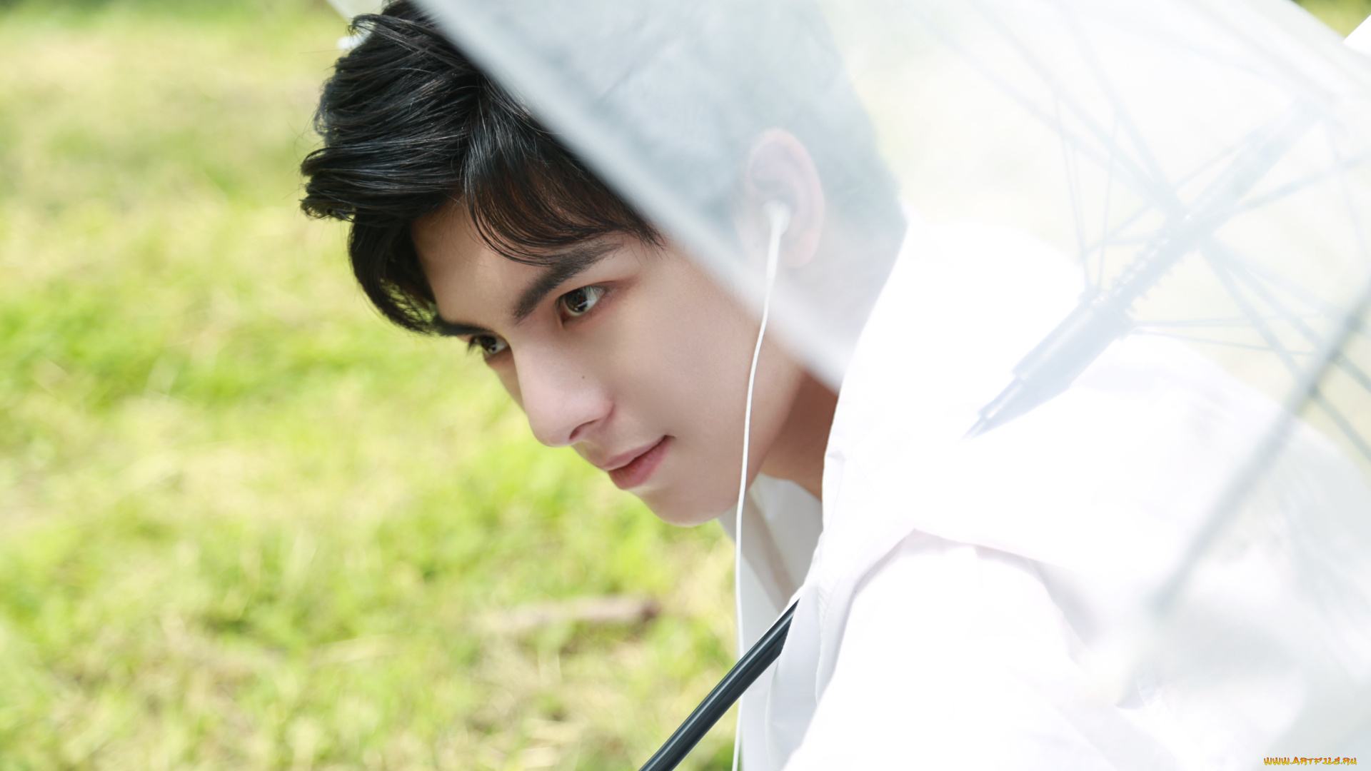 мужчины, wang, hao, xuan, ван, хао, сюань