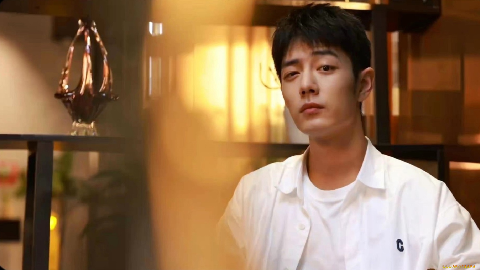 мужчины, xiao, zhan, актер, рубашка, ваза