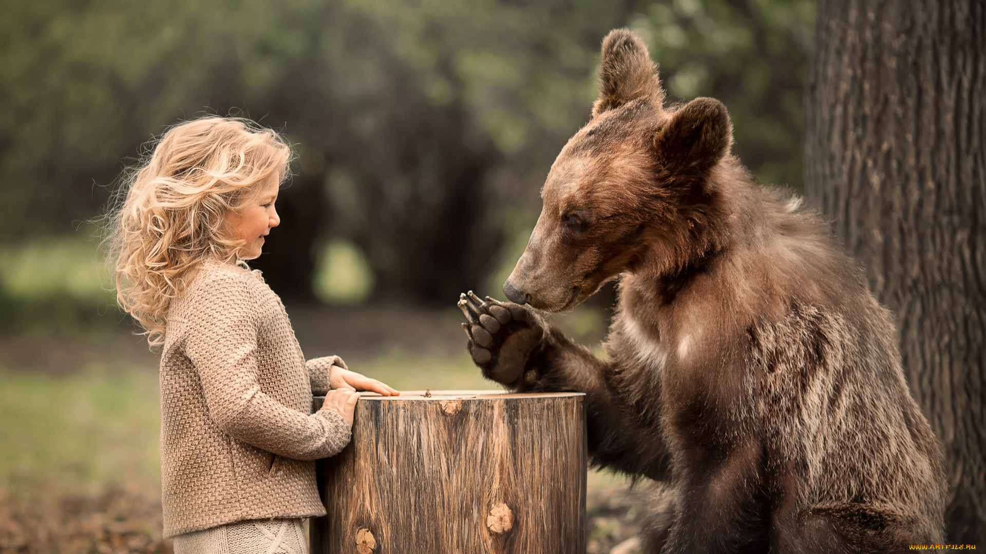 разное, дети, девочка, медведь