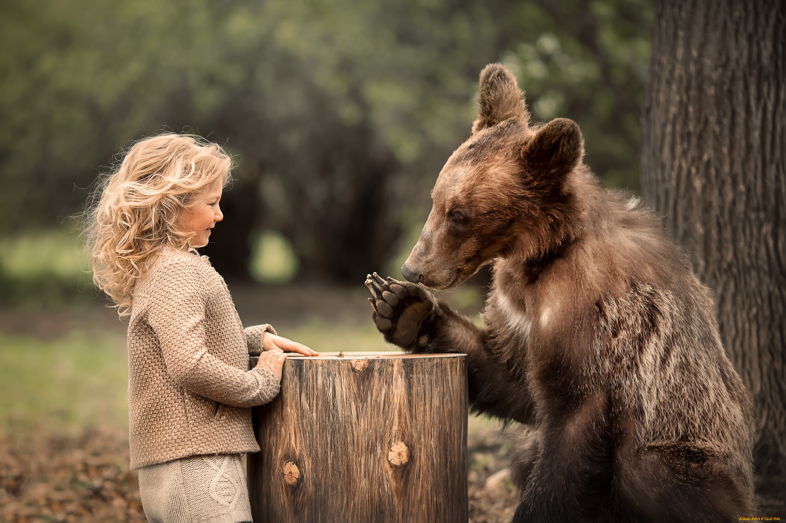 разное, дети, девочка, медведь
