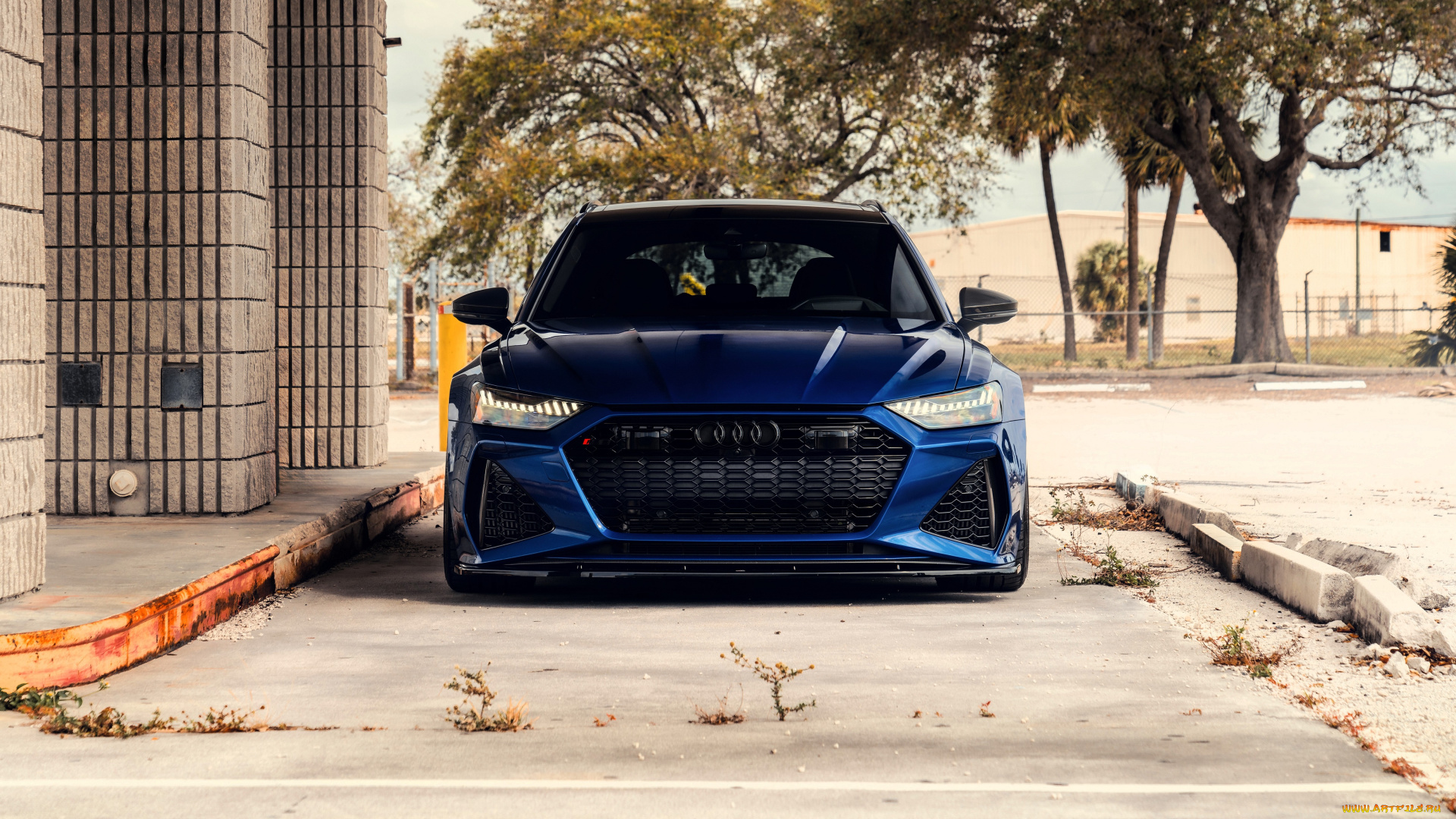 audi, rs6, avant, автомобили, audi, синий, двор, здание, деревья