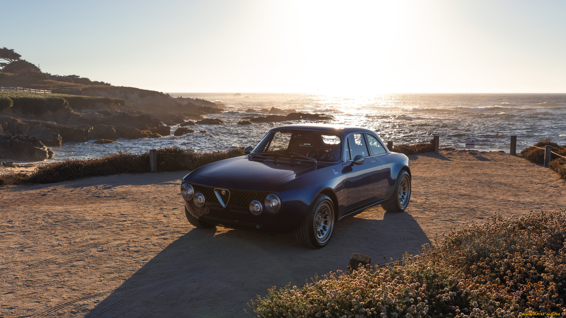 автомобили, alfa, romeo, totem