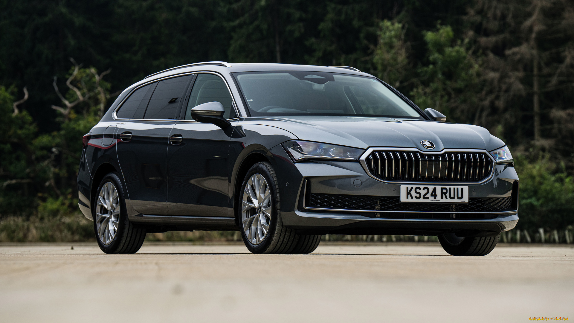 автомобили, skoda