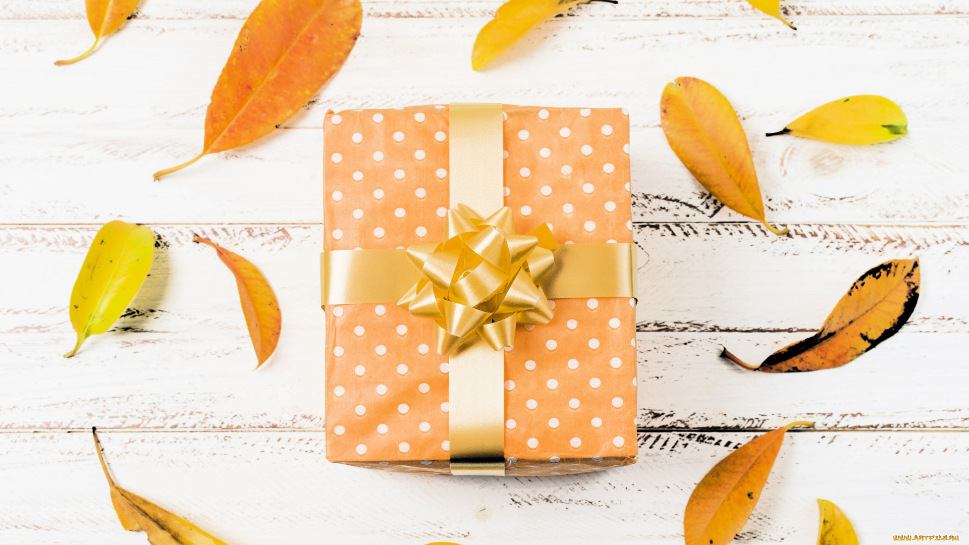 праздничные, подарки, и, коробочки, подарок, коробка, бант, листья, осень