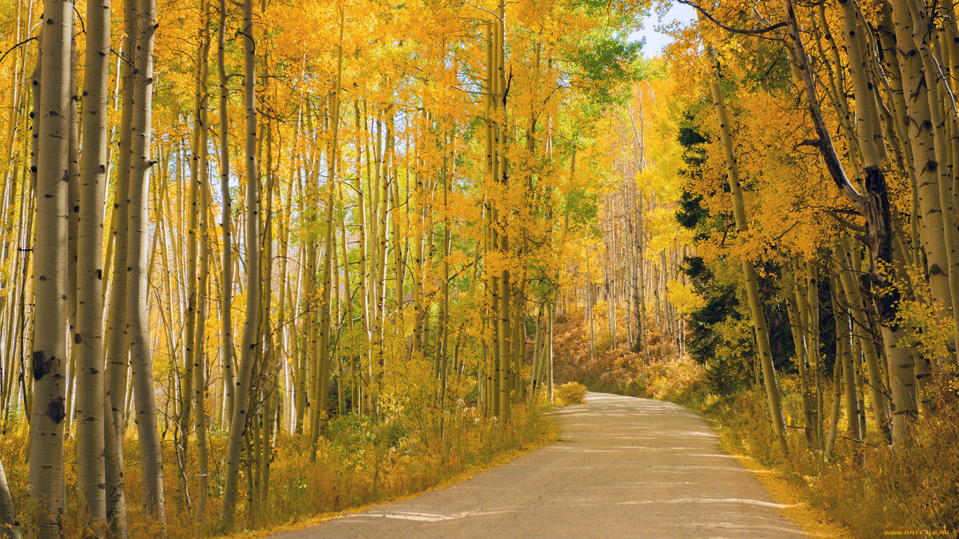 природа, дороги, пейзаж