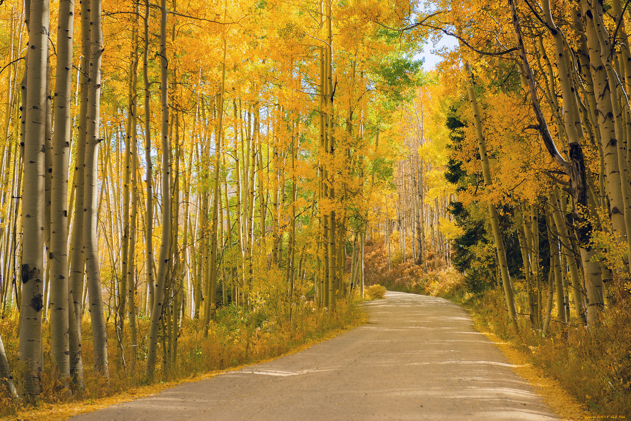 природа, дороги, пейзаж