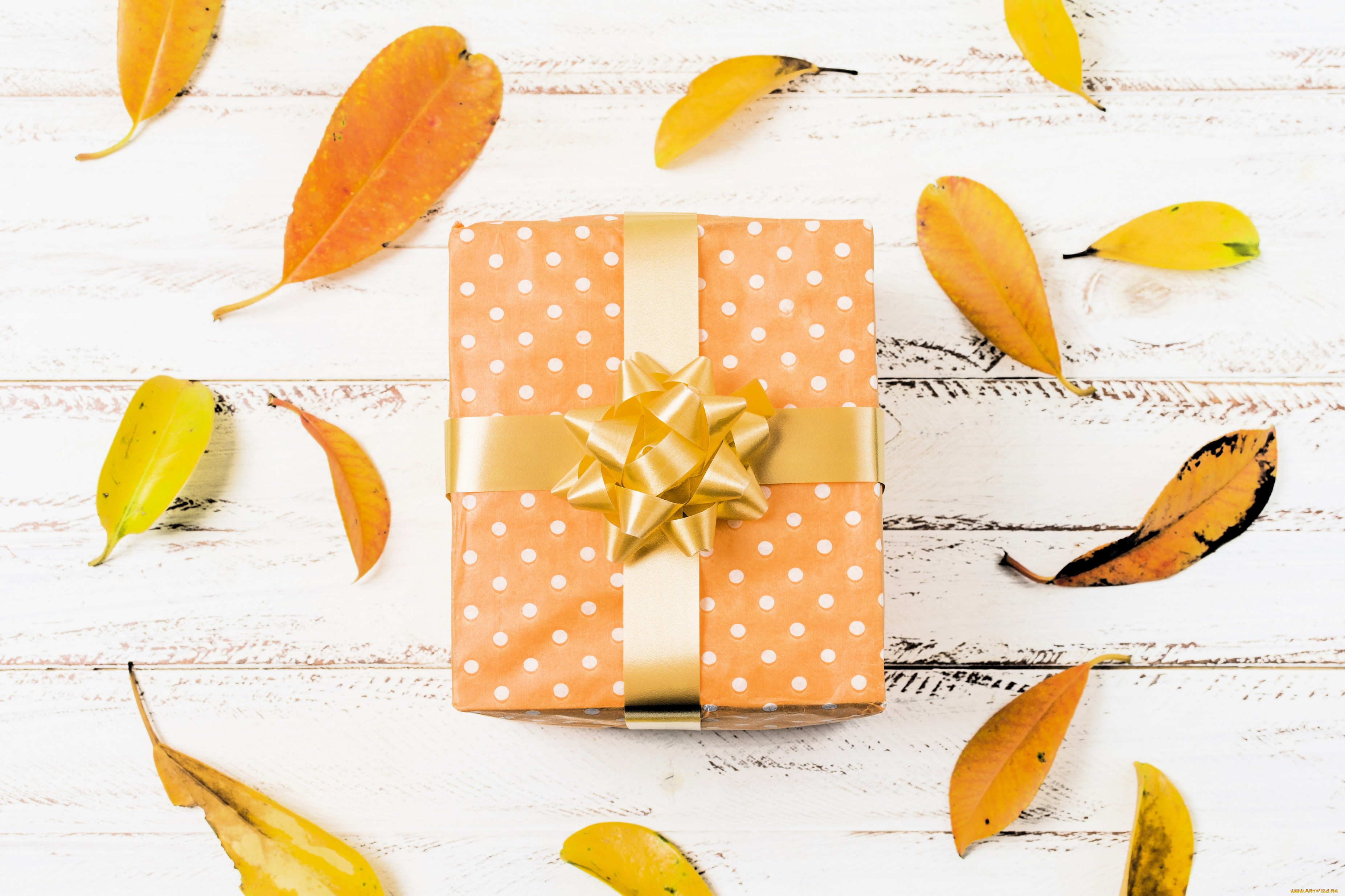 праздничные, подарки, и, коробочки, подарок, коробка, бант, листья, осень