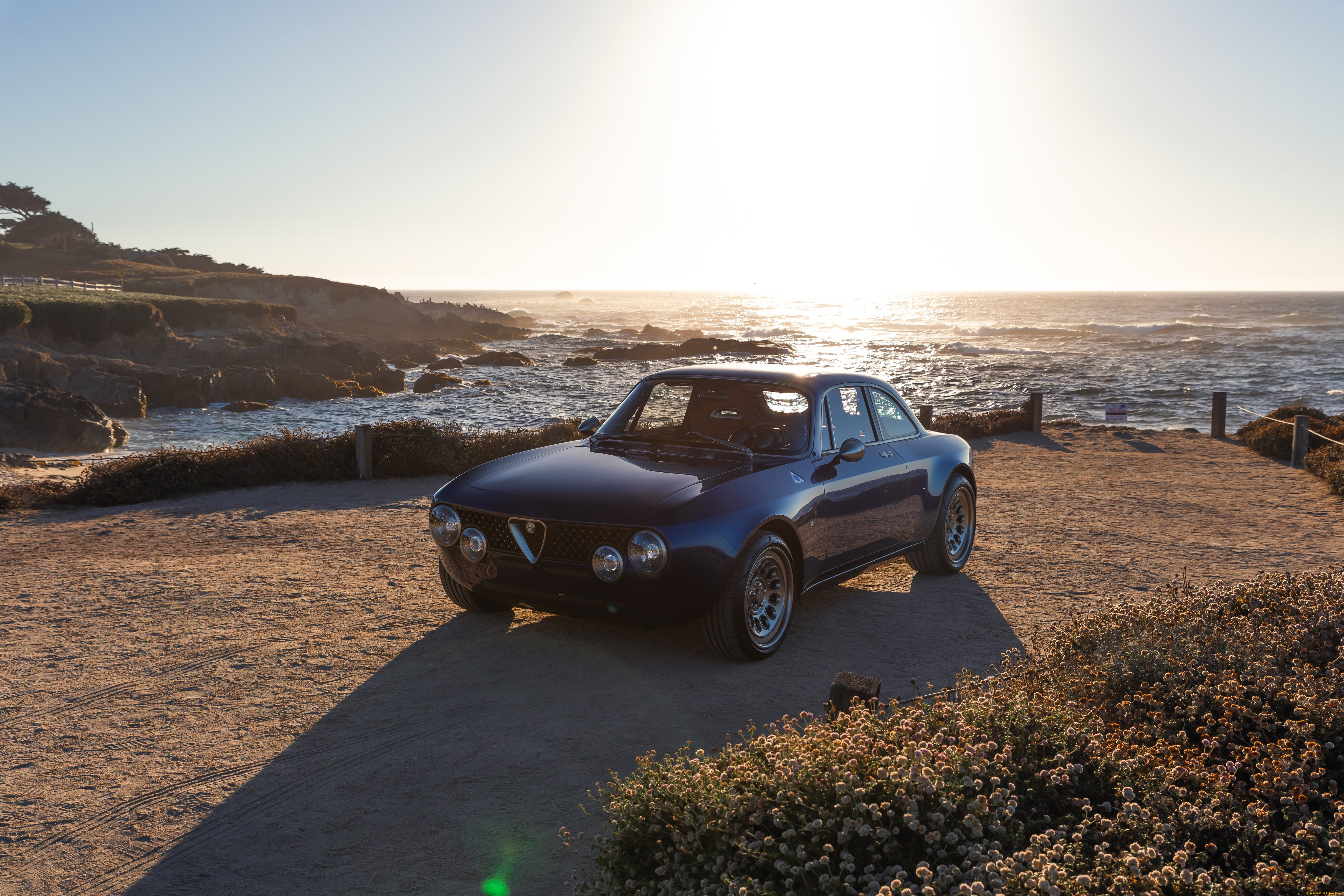 автомобили, alfa, romeo, totem