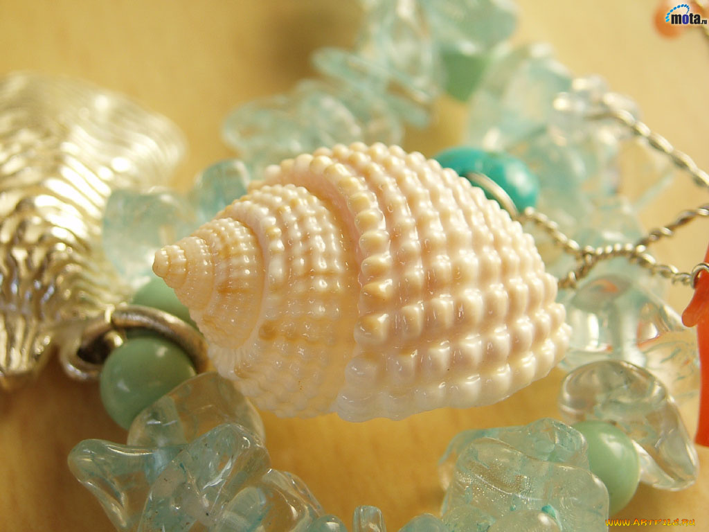 разное, ракушки, кораллы, декоративные, spa, камни