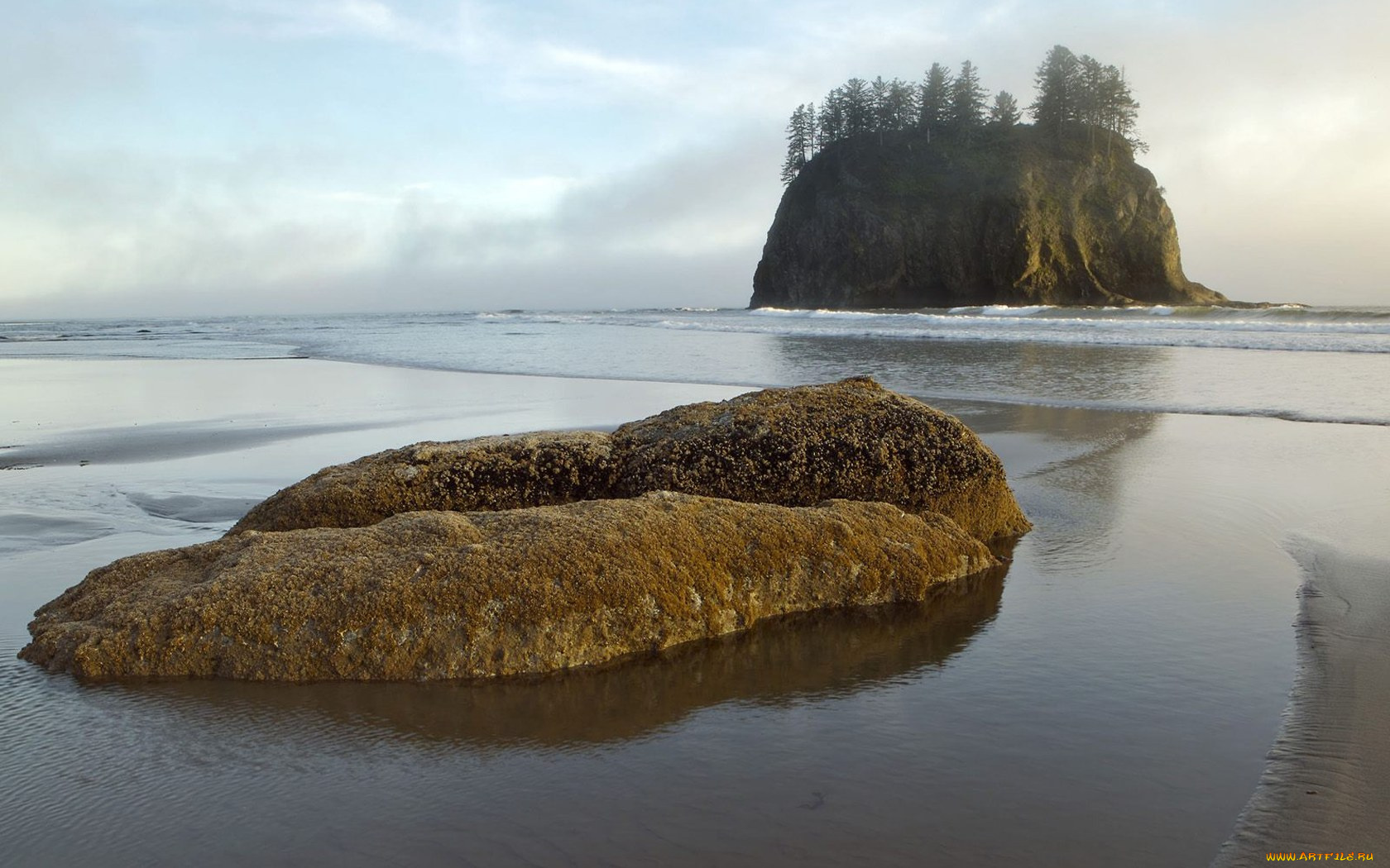 природа, побережье