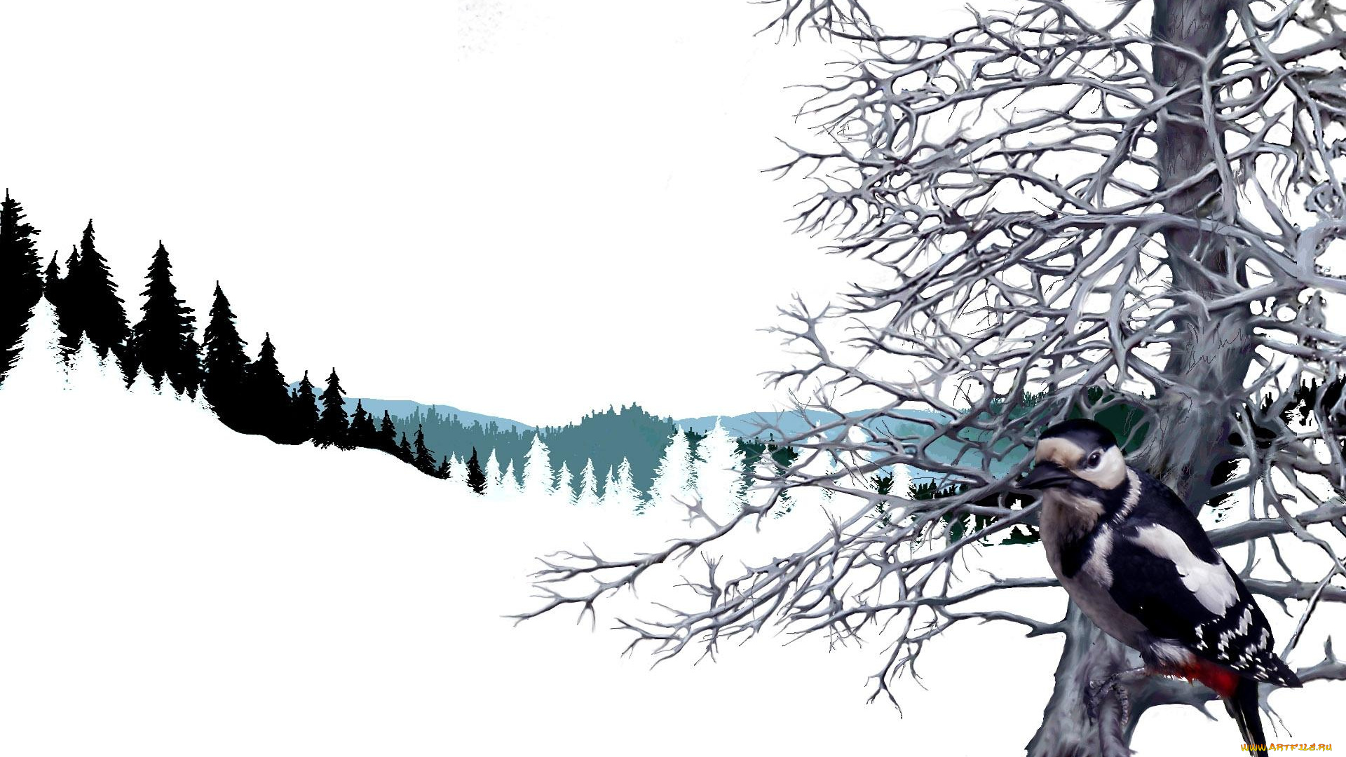 рисованные, животные