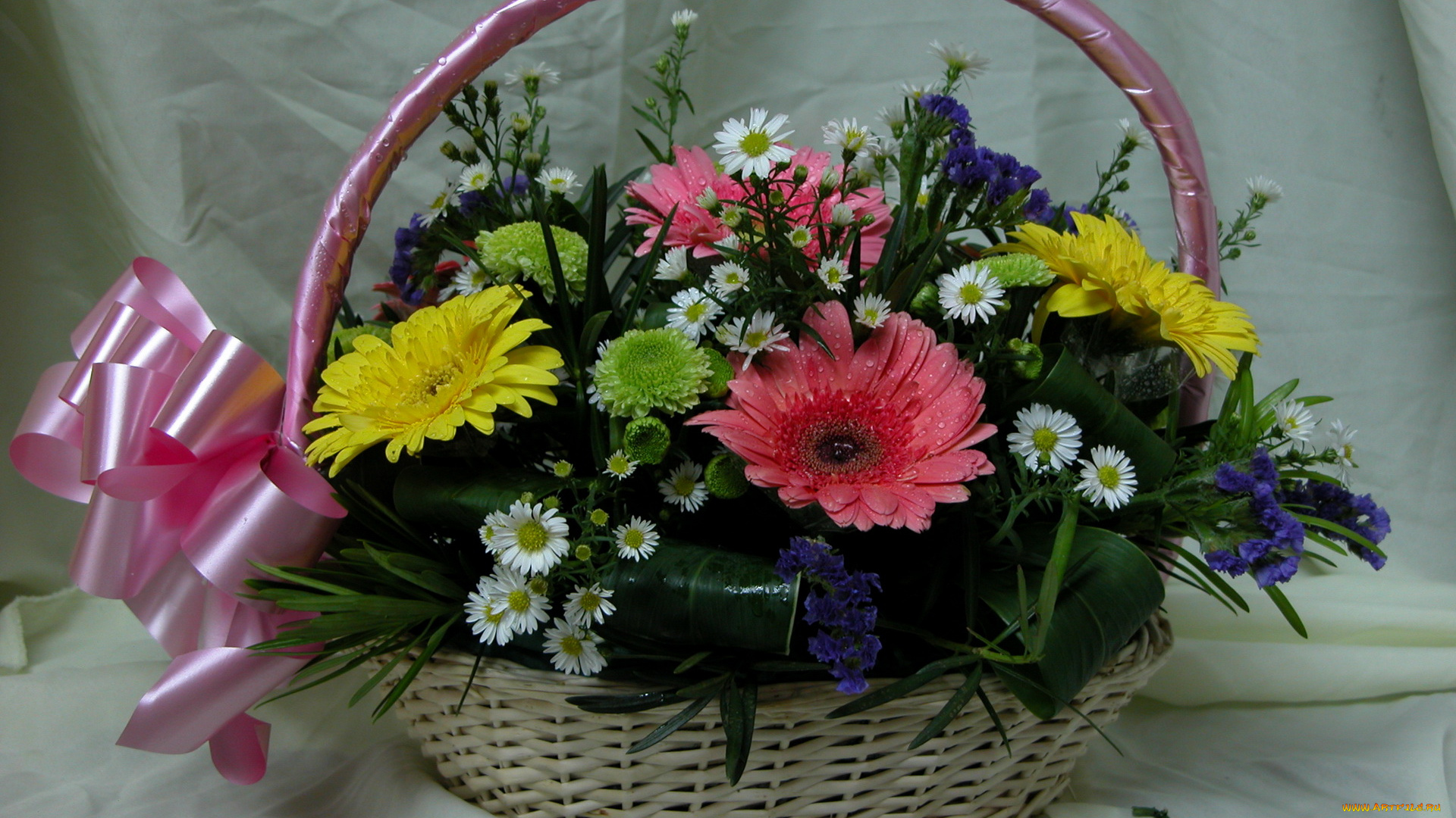 цветы, букеты, композиции, бант, хризантемы, герберы, корзинка
