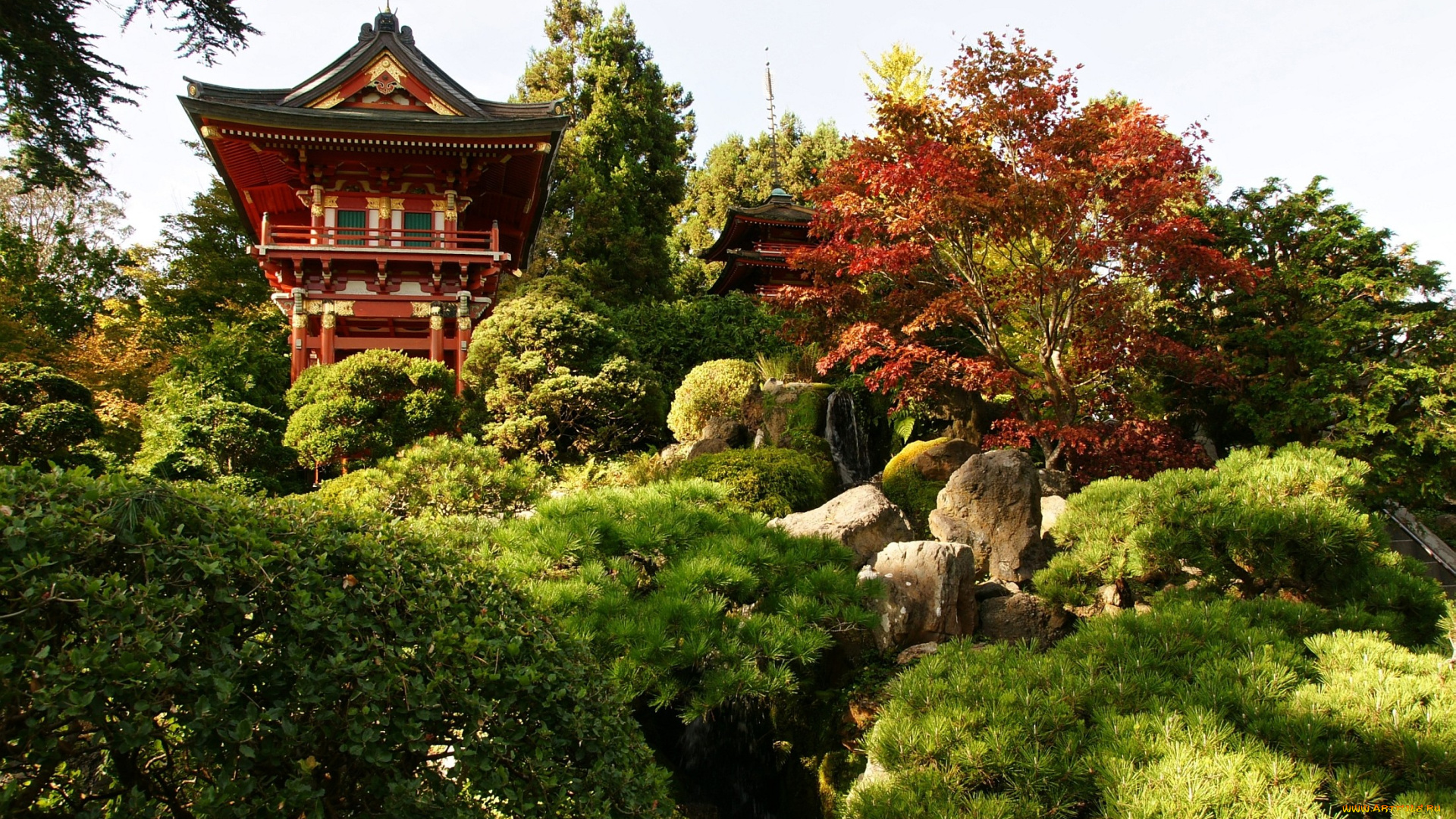 природа, парк, пагода, деревья, зелень