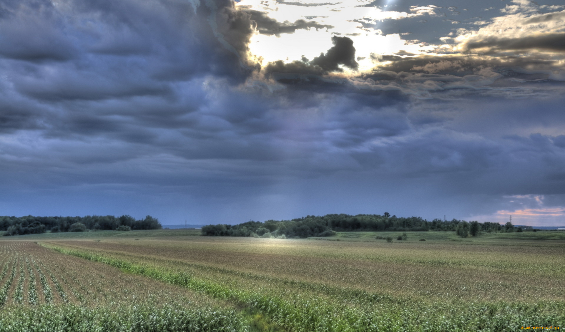 природа, поля, деревья, закат, небо, тучи, вечер
