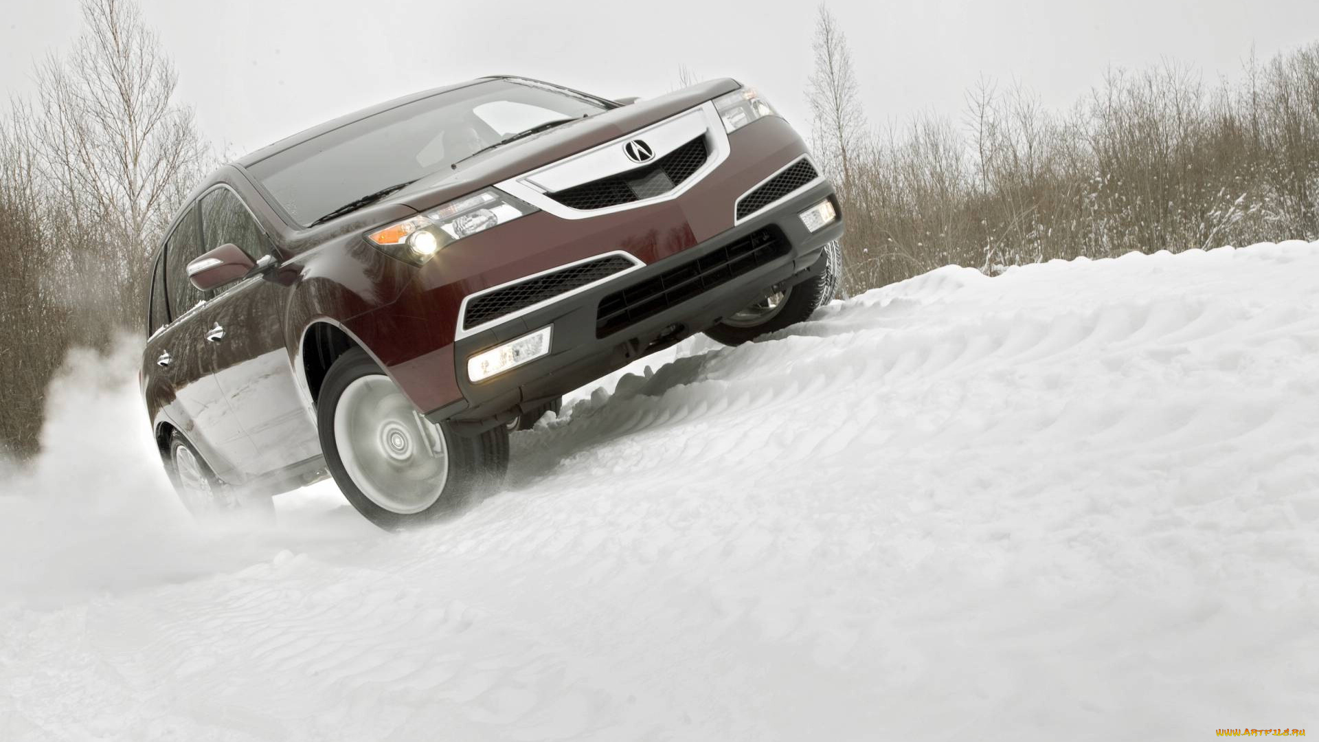 автомобили, acura