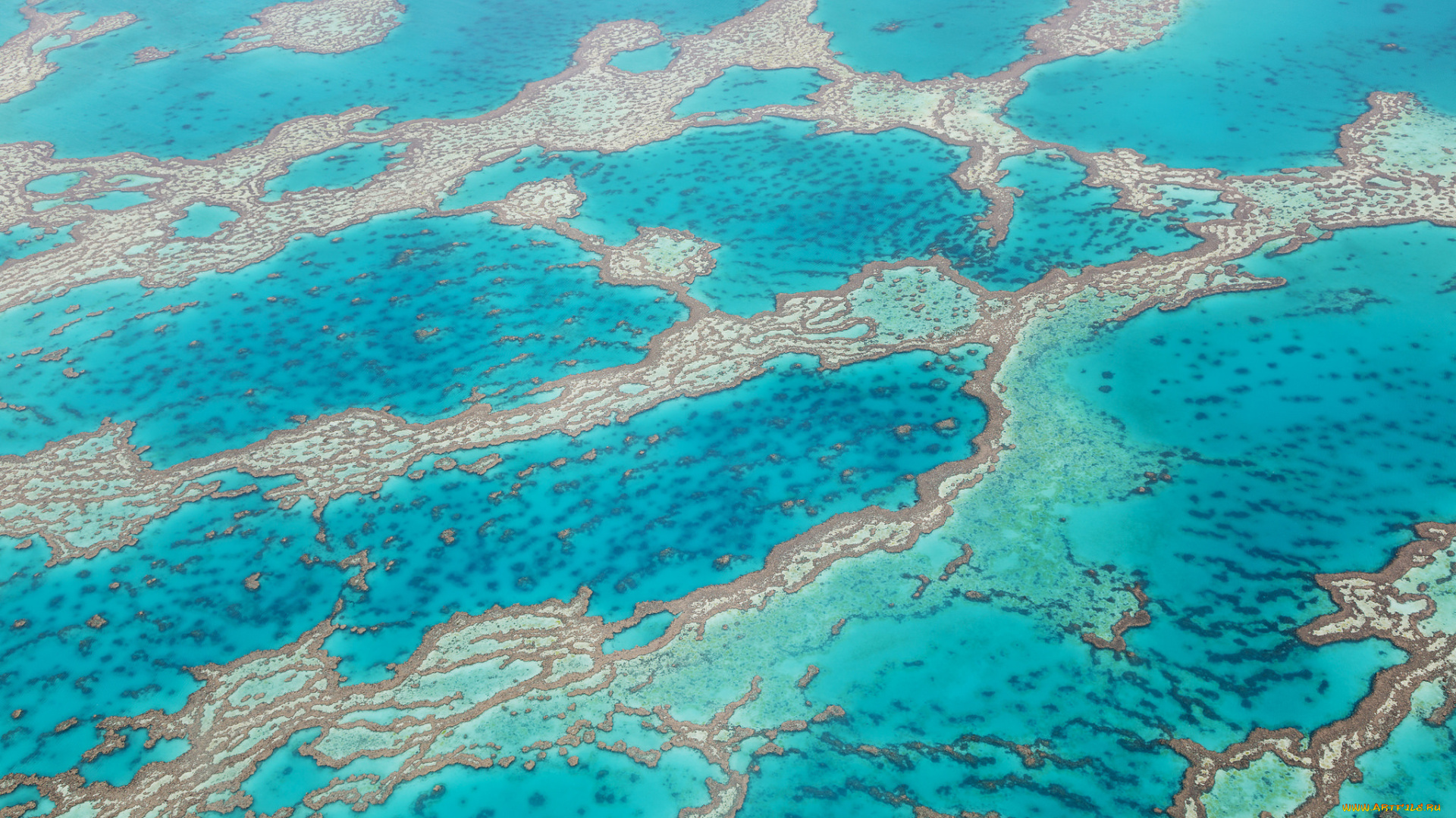природа, другое, баръерный, риф, карибское, море, вода, текстура