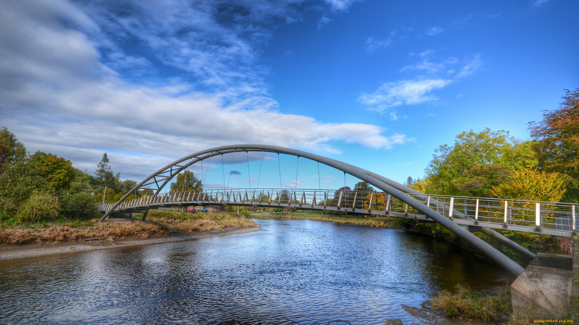 природа, реки, озера, лес, река, мост