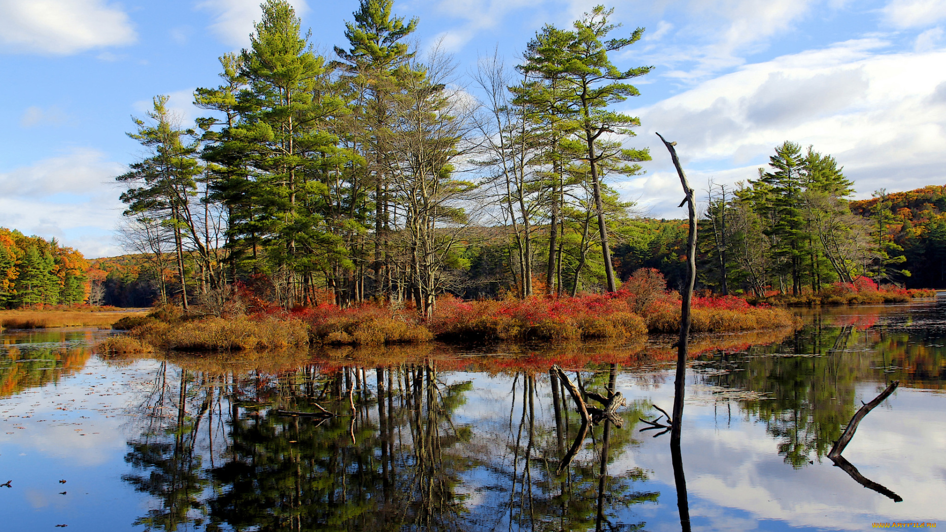 природа, реки, озера, лес, река, осень