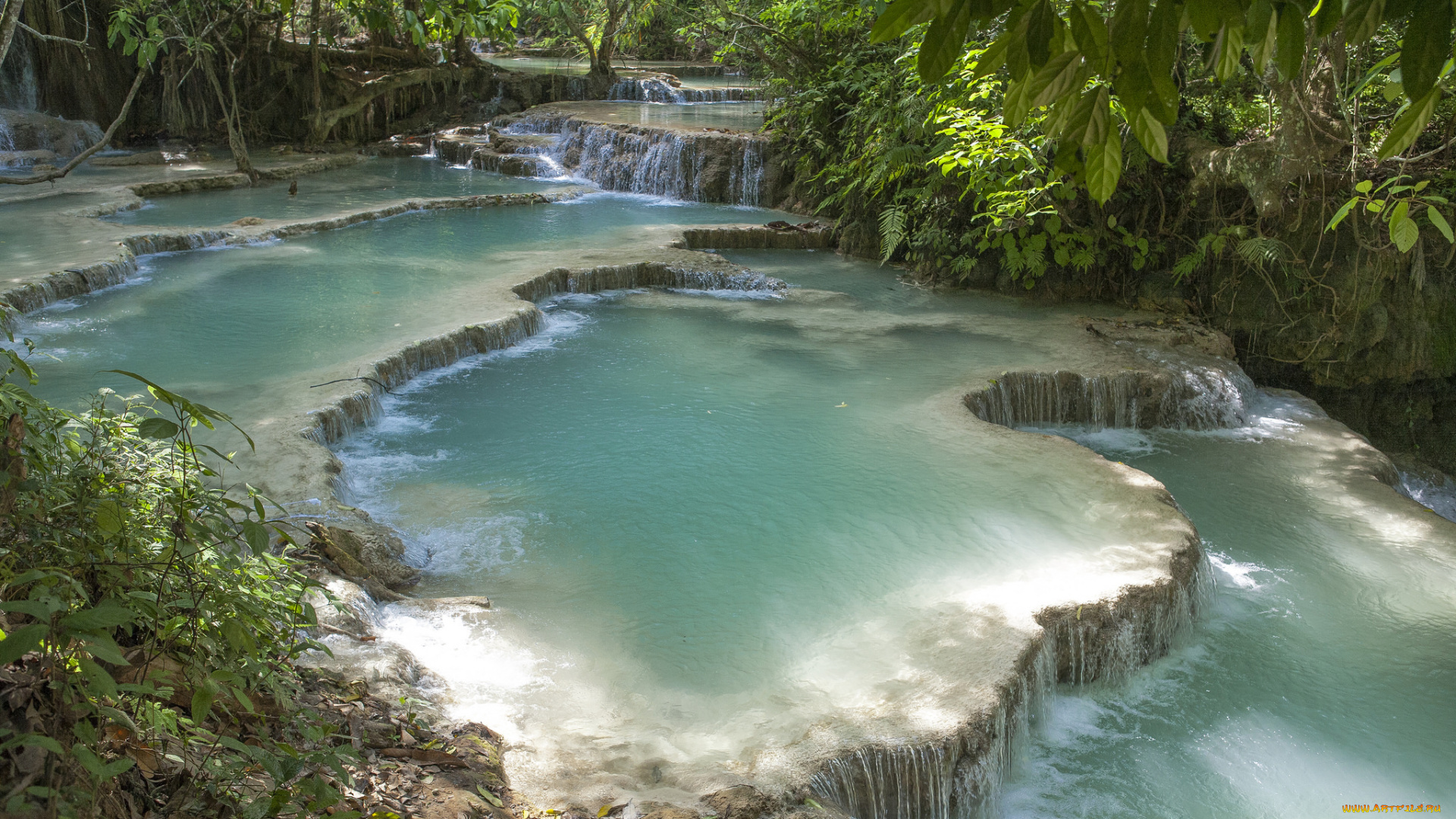 природа, реки, озера, лес, ручей, каскад