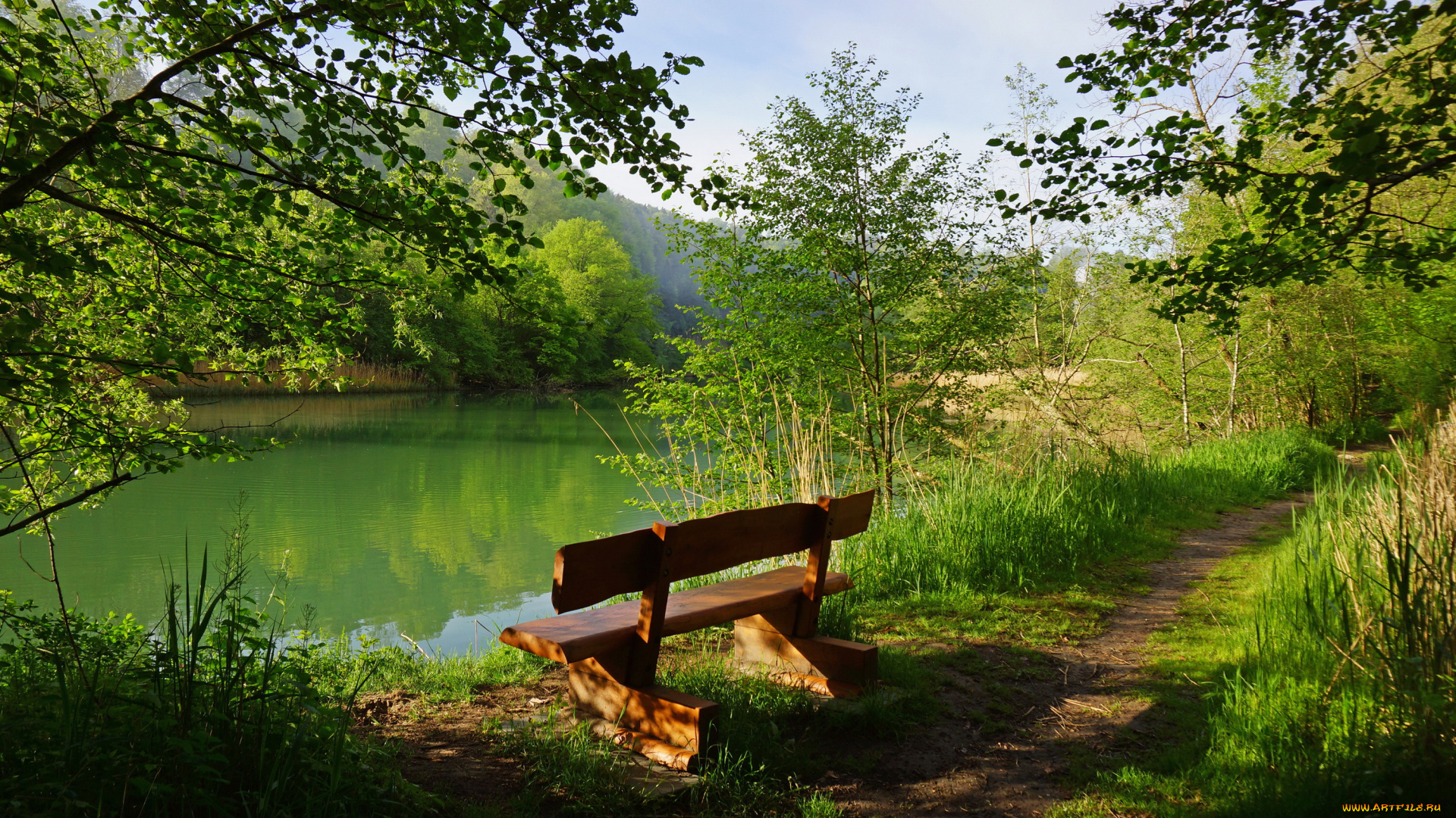 природа, реки, озера, озеро, perolles, switzerland, швейцария, скамейка, деревья