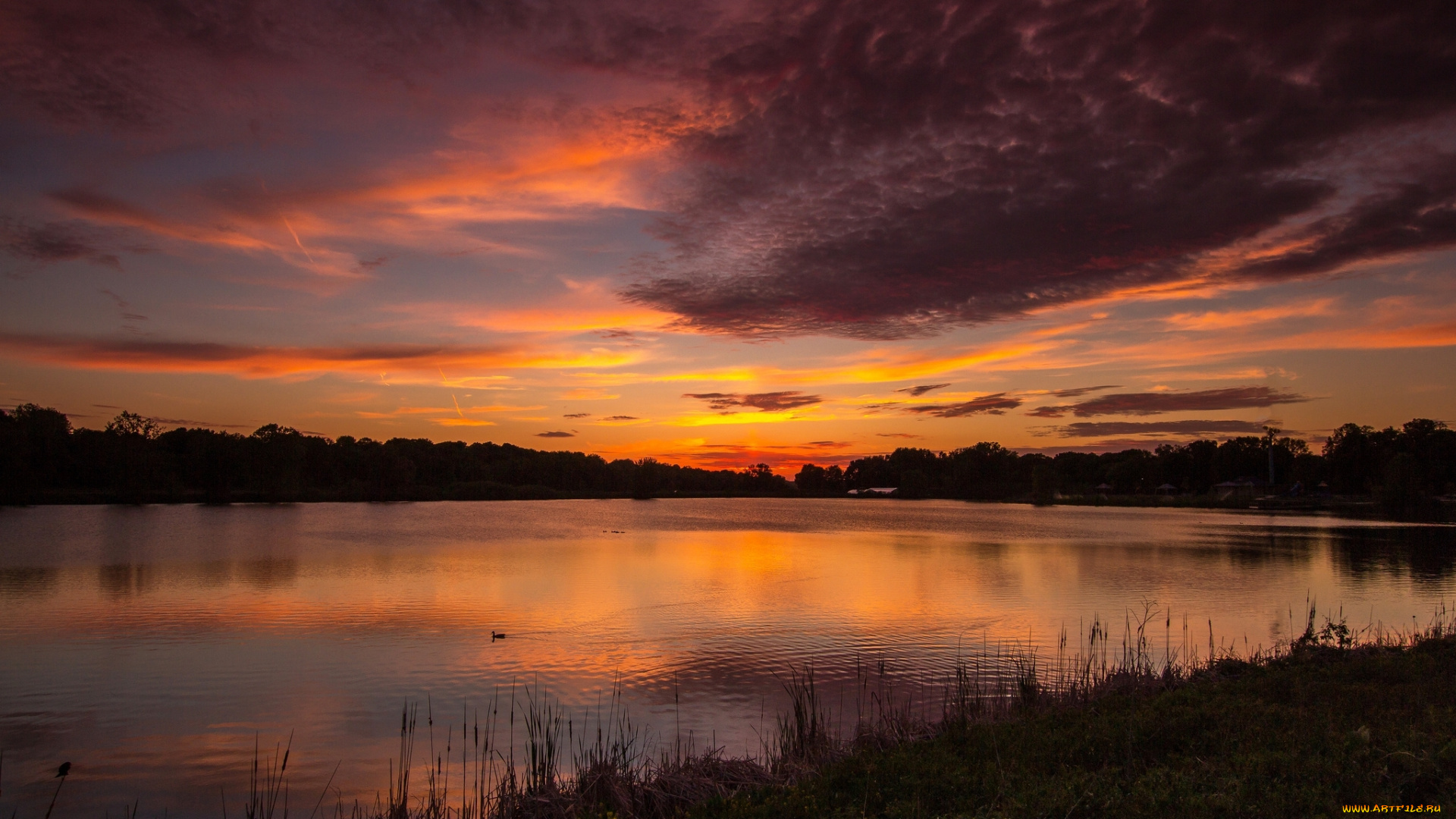 природа, восходы, закаты, закат, пруд, озеро, вода, трава, отражение, облака